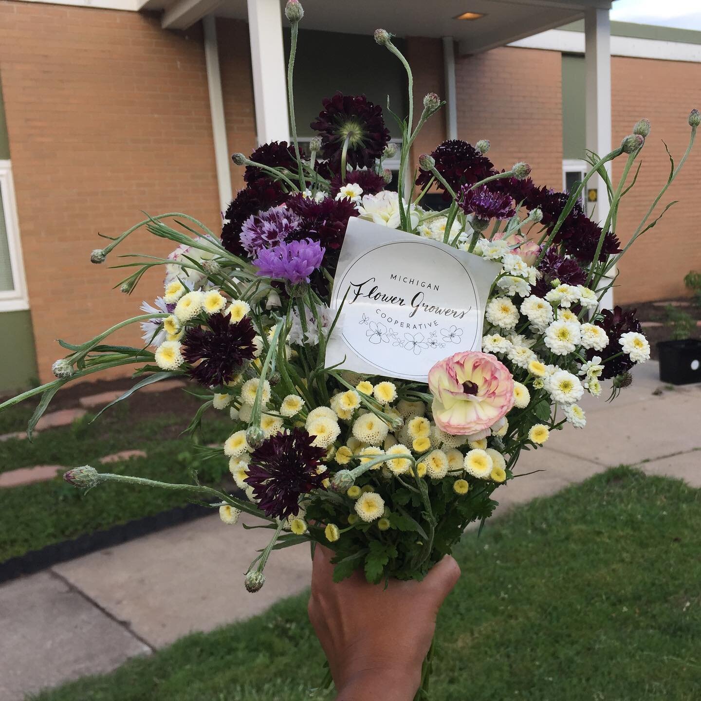 Happy Independence Day! 

A lovely arrangement of some of the local flower offered at our flower market ☺️

#miflowercoop #michigangrown #knowyourflowerfarmer #michiganmade #supportlocal #localflowers #localandlovinit