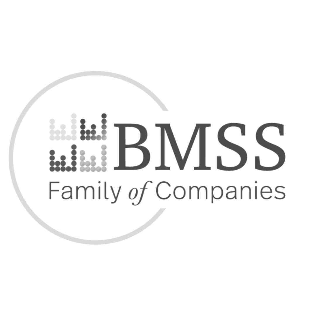 BMSS Family of Companies — national accounting, tax, and advisory firm partnered with Bright & Gray Creative