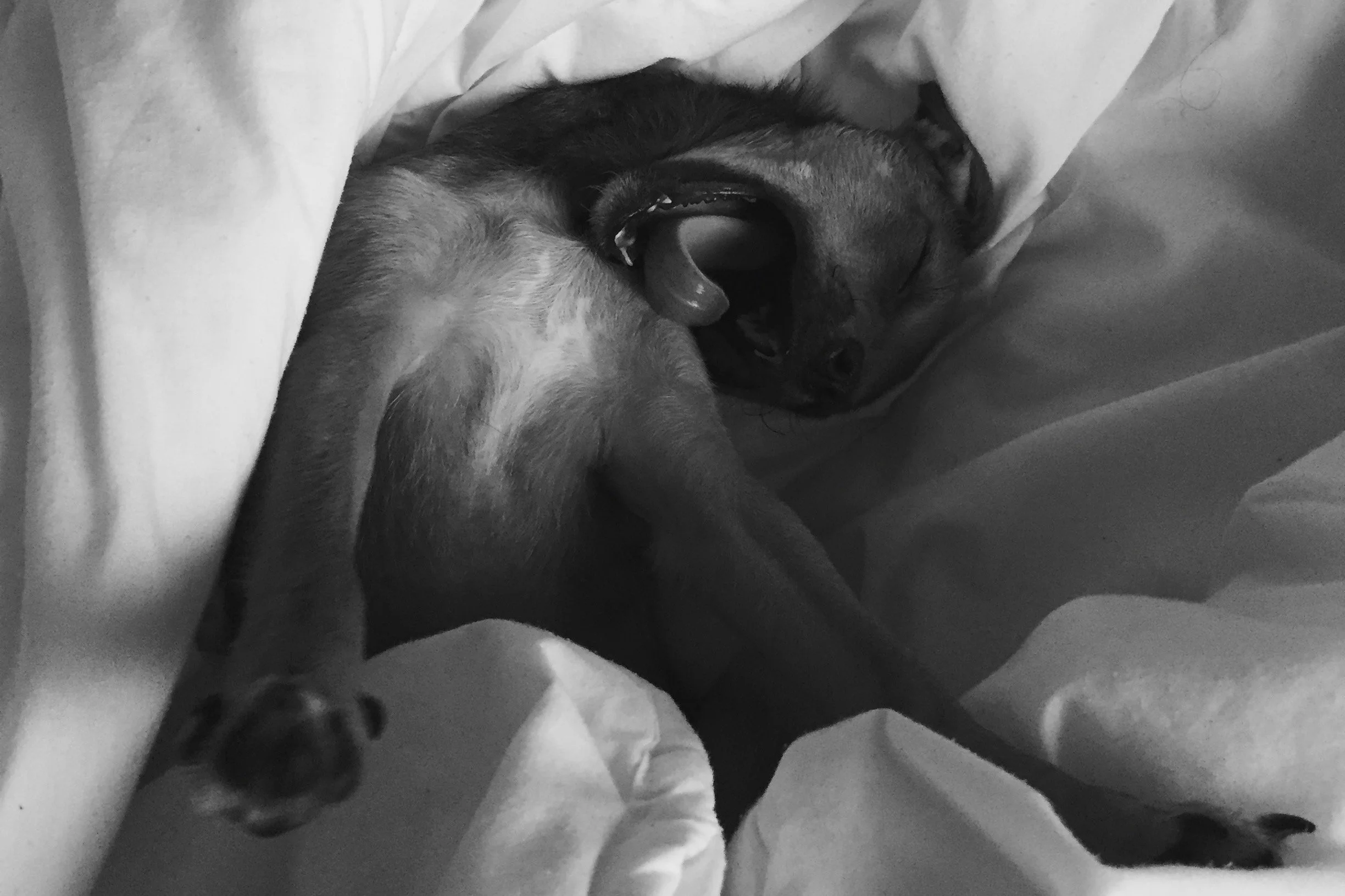 How to get AI to make your bed