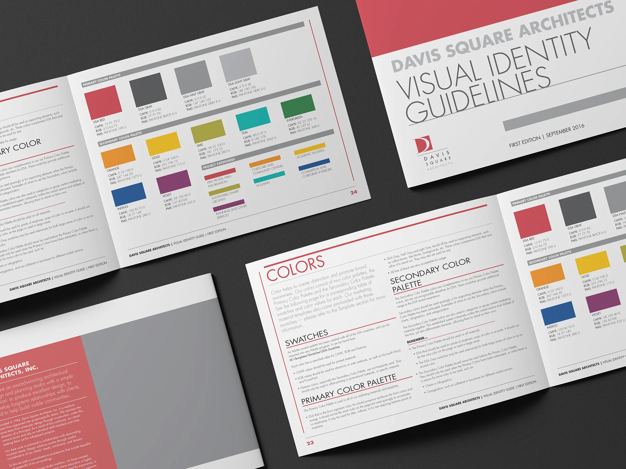 DSA VI Guide_Color Spread.jpg