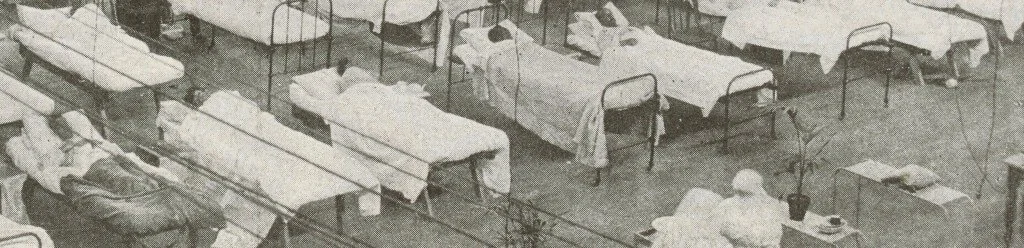 1919-02-19-Sydney-Mail-copy.jpg