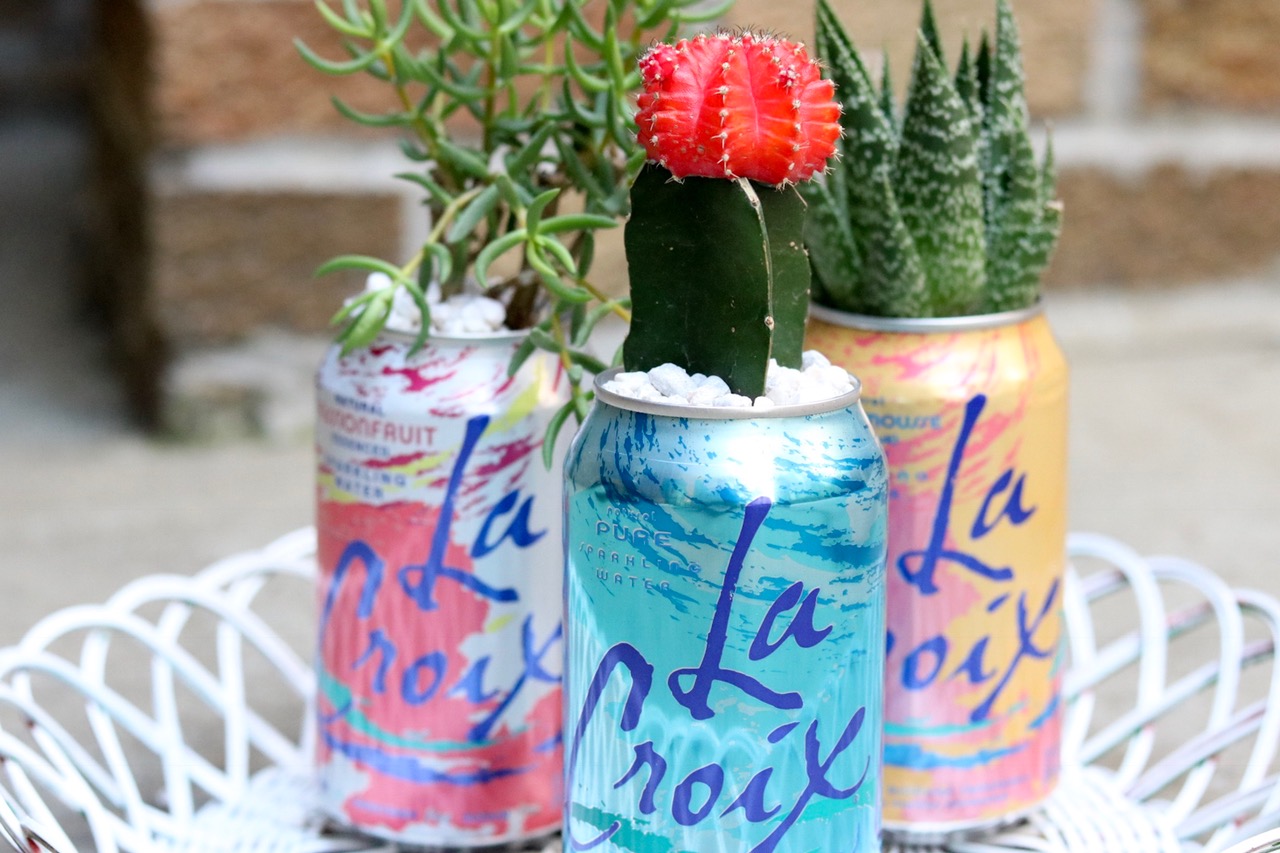 Upcycled La Croix Summer Succulents Planters #upcycle #lacroix #succulents #indoorgarden #houseplants #planter #earthday #cactus #airplants