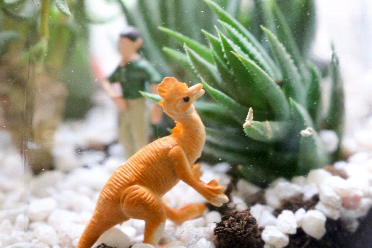 Easy DIY Dinosaur Terrarium #fishbowl #indoorgarden #plastictoys #succulents #garden #zengarden #easy