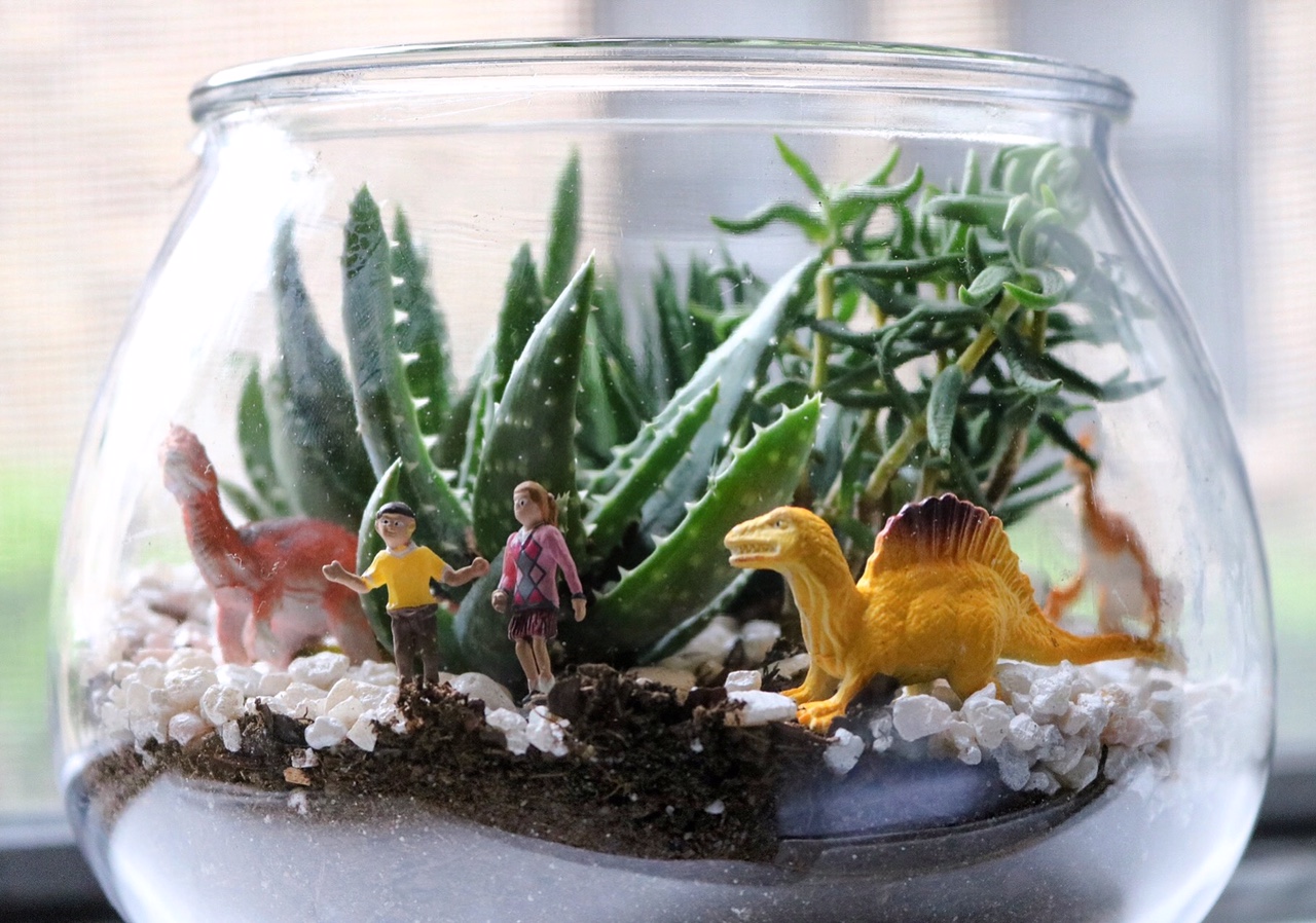 Easy DIY Dinosaur Terrarium #fishbowl #indoorgarden #plastictoys #succulents #garden #zengarden #easy