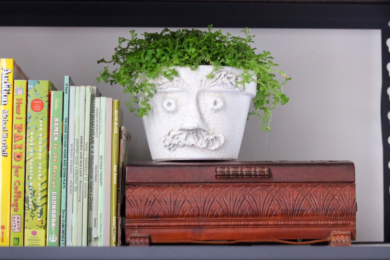 DIY Paper Mache Terracotta Faces   #papermache     #upcycle     #pottery    #pots     #houseplantclub     #houseplants    #homedecor     #facemask
