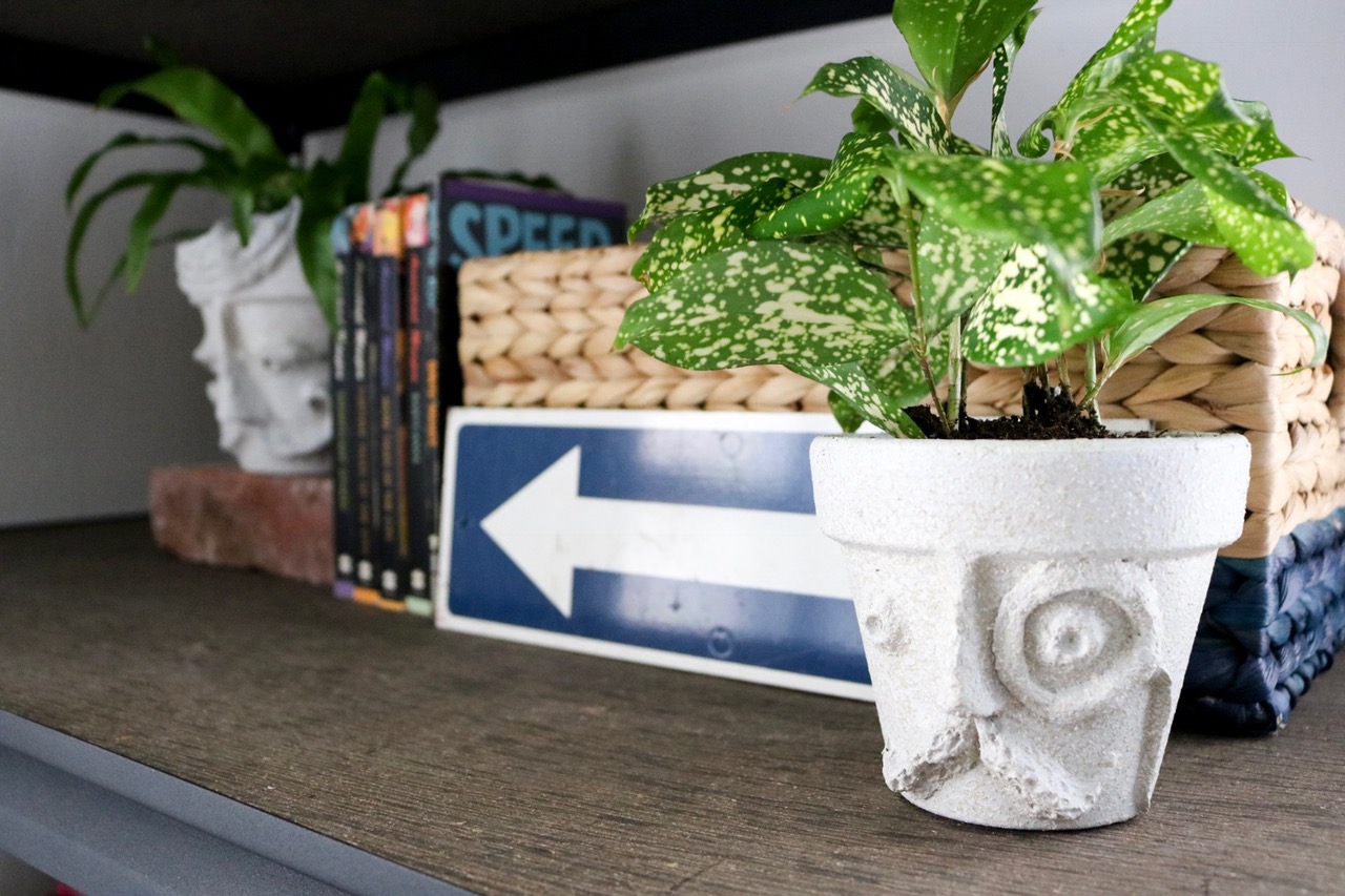 DIY Paper Mache Terracotta Faces   #papermache     #upcycle     #pottery    #pots     #houseplantclub     #houseplants    #homedecor     #facemask
