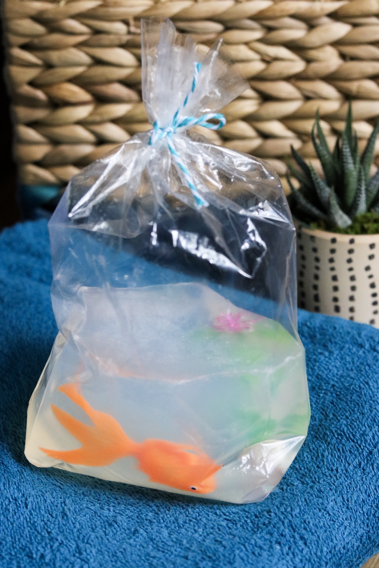 Fish in a Bag Soap DIY #handmadesoap #handmade #goldfish #bathroomdecor #bathroom #soap #fishinabag
