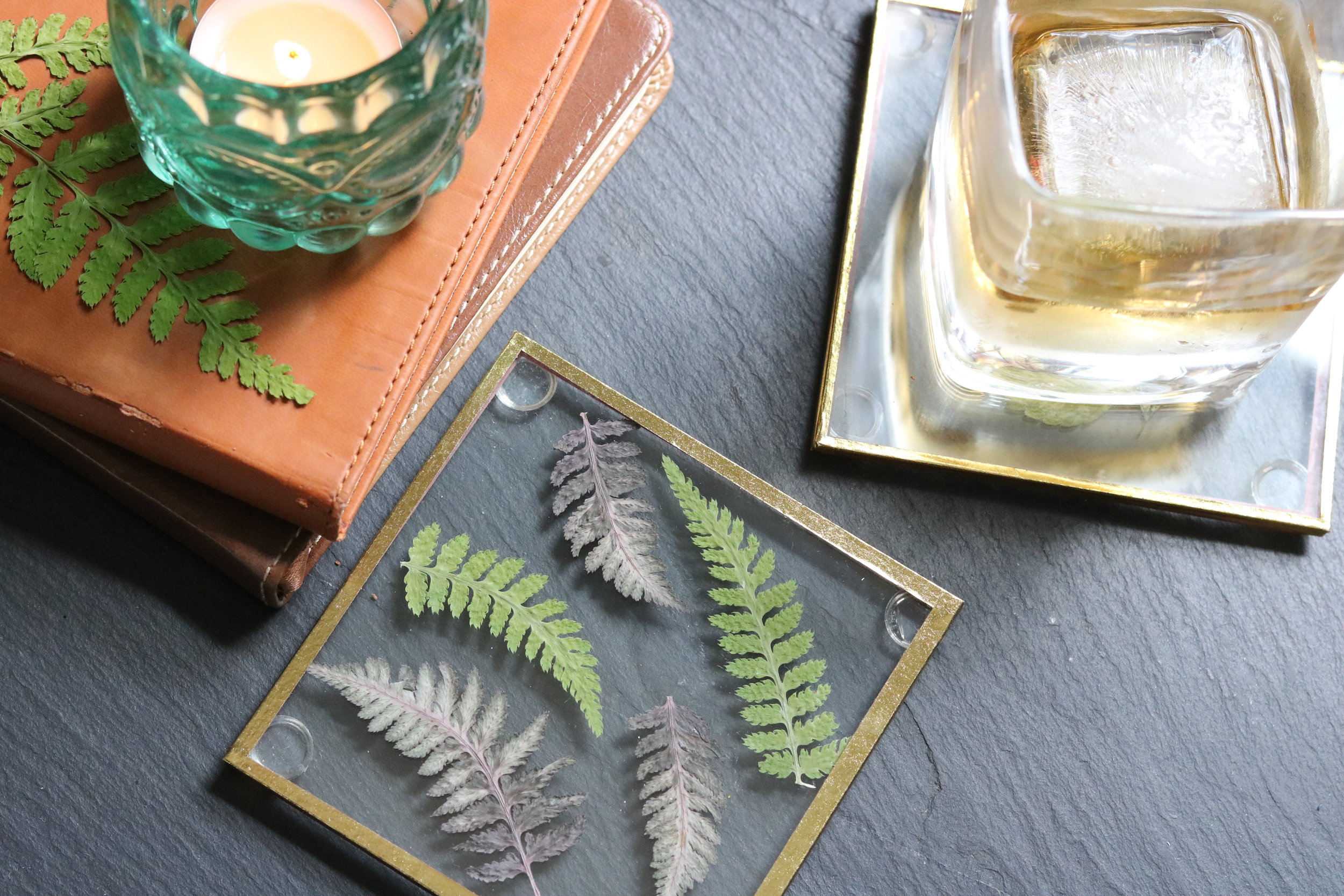 Dollar Store Flower Glass Coasters #homedecor #coasters #pressedflowers #flowers #garden #flowerdiy #frames #glass #mothersday #glasscoasters #dollarstorediy #pictureframes