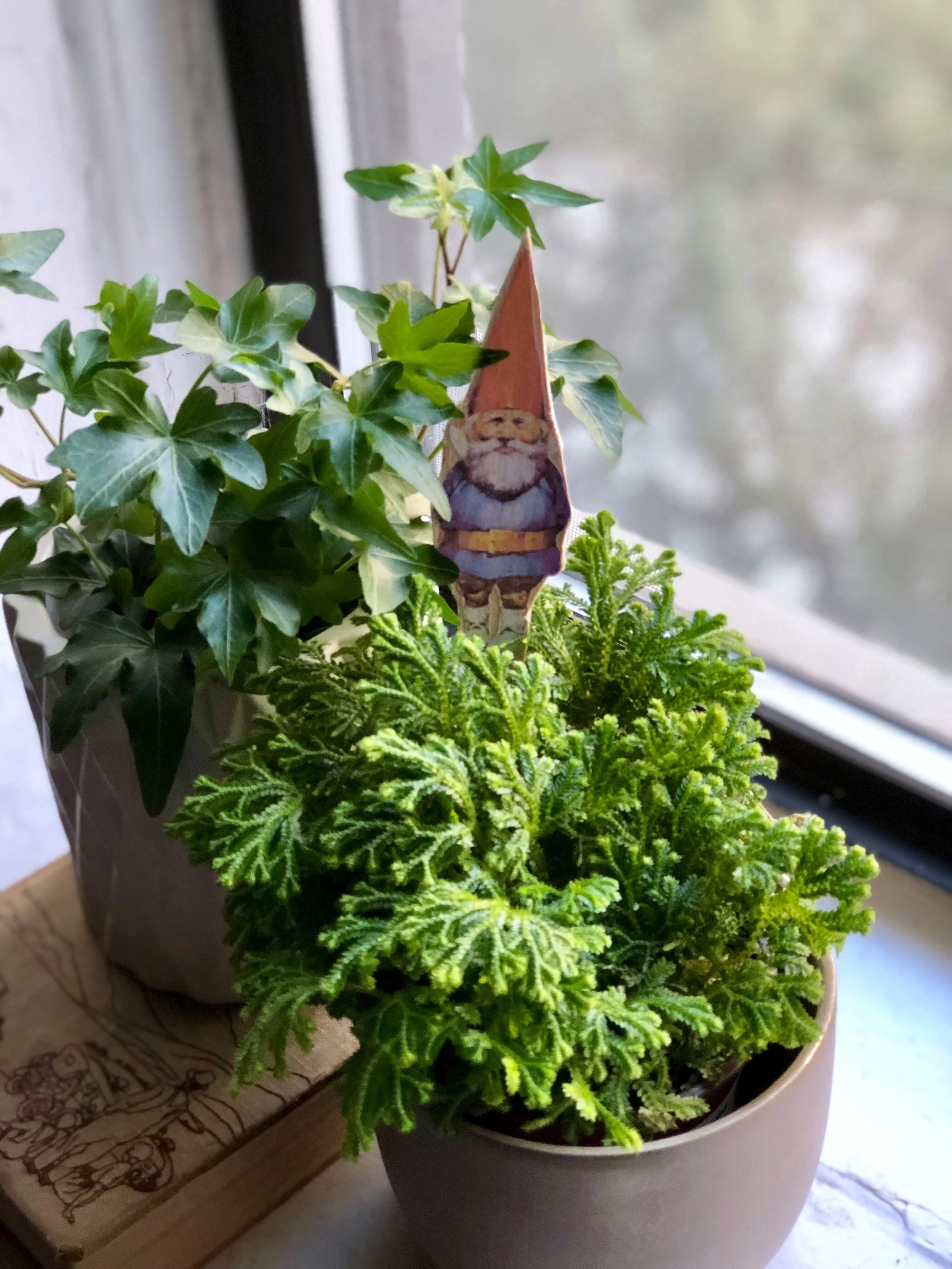 Easy Spring DIY's GNOME PLANTING BUDDY MATERIALS: Printed google gnome image, Balsa wood, Mod Podge, Craft knife