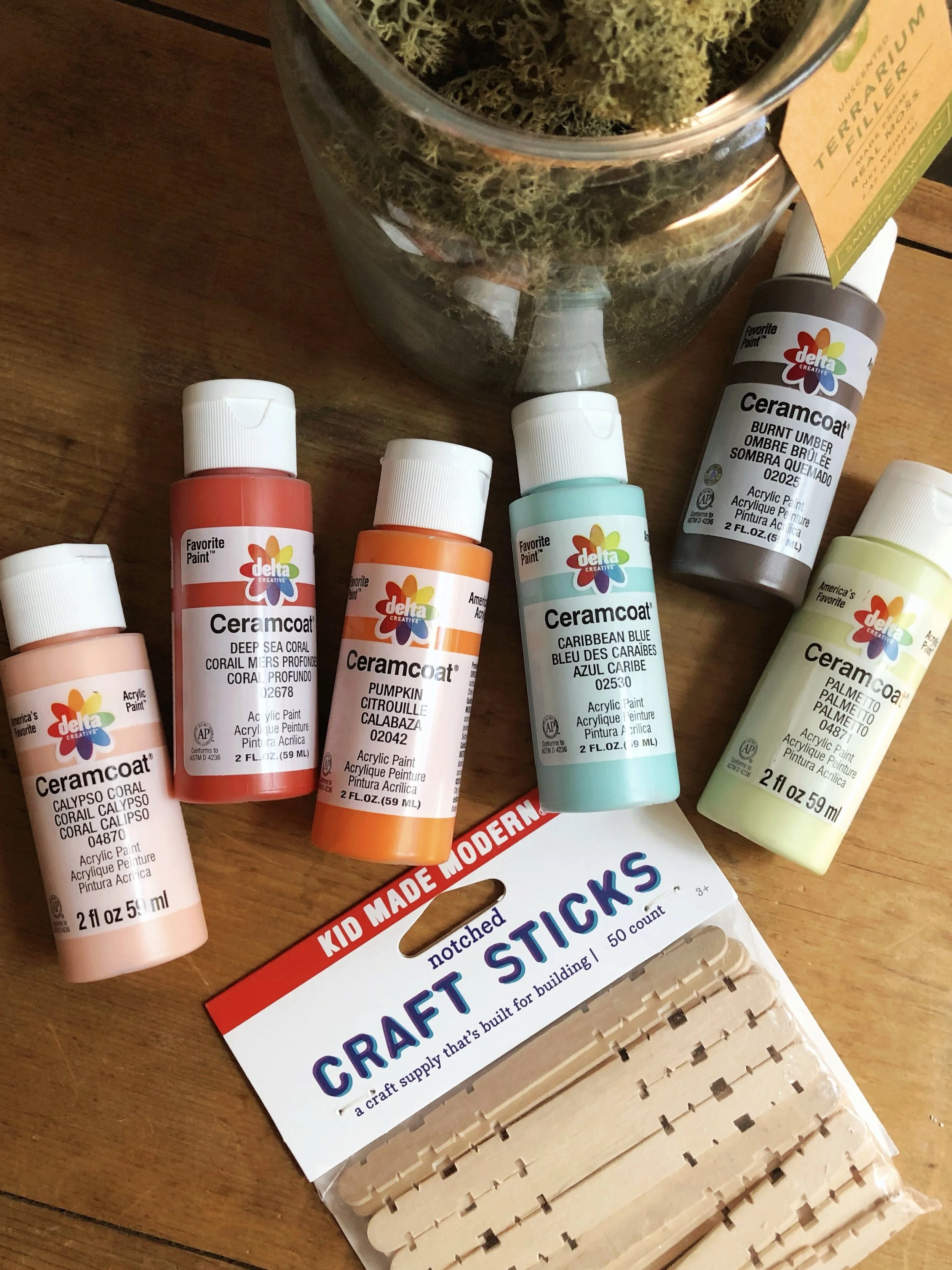 Summer camp throwback craft! Create a one of a kind plater with craft sticks and acrylic paint from Target! #plaidcrafts #craftsticks #target #ceramcoat #getcrafty #kidscrafts #campcrafts #acrylicpaint #moss #summercraft #houseplant #sponsored #DIY #indoorgarden