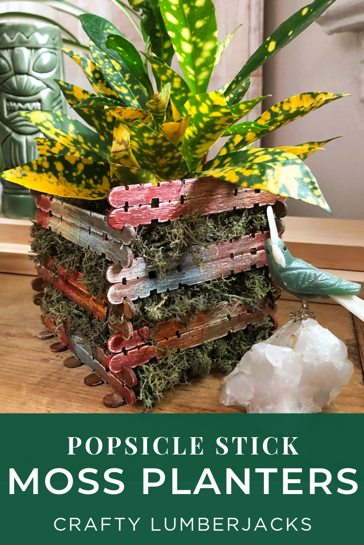 DIY Summer Popsicle Stick Moss Planters. Summer camp throwback craft! Create a one of a kind plater with craft sticks and acrylic paint from Target! #plaidcrafts #craftsticks #target #ceramcoat #getcrafty #kidscrafts #campcrafts #acrylicpaint #moss #summercraft #houseplant #sponsored #DIY #indoorgarden
