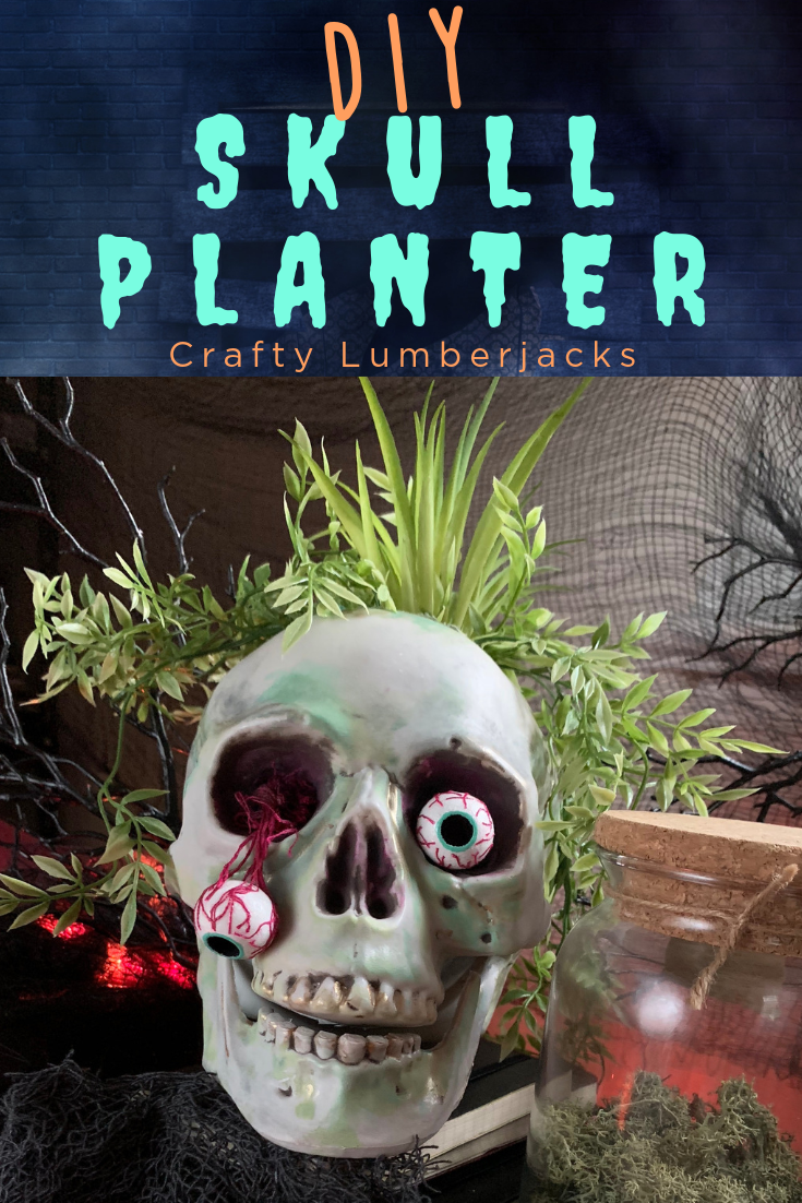 Easy DIY Skull Planter for Halloween - Take a plain skull from the dollar store or craft store and turn it into a spooky and fun skull planter! #halloweendecorations #halloweencrafts #booityourself #halloweendiy #diyhalloween #easyhalloween #hallowedecor #halloweeneveryday #skullupdo #hauntedhouse #madewithmichaels