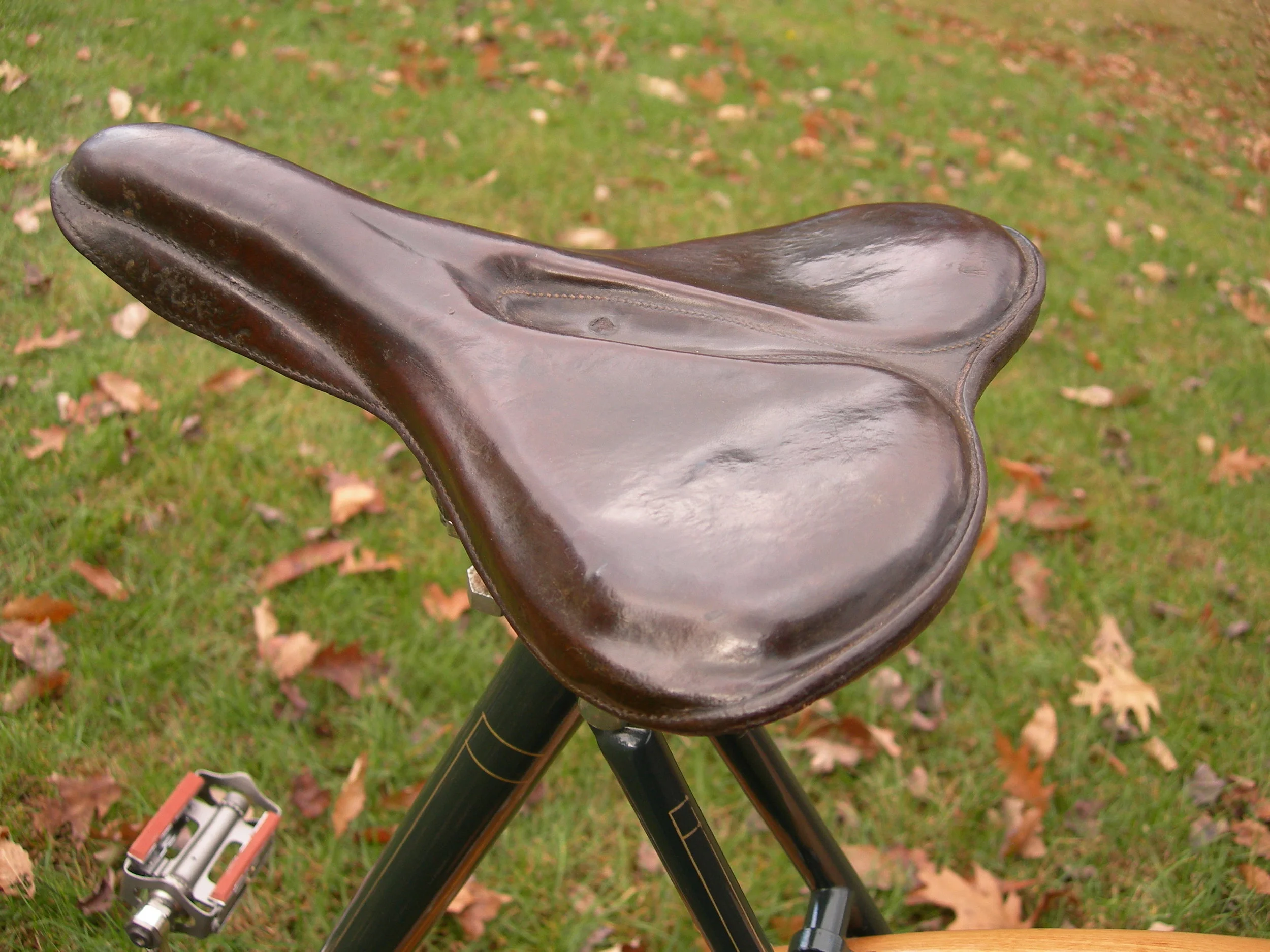 crawford---saddle-detail_7205033256_o.jpg