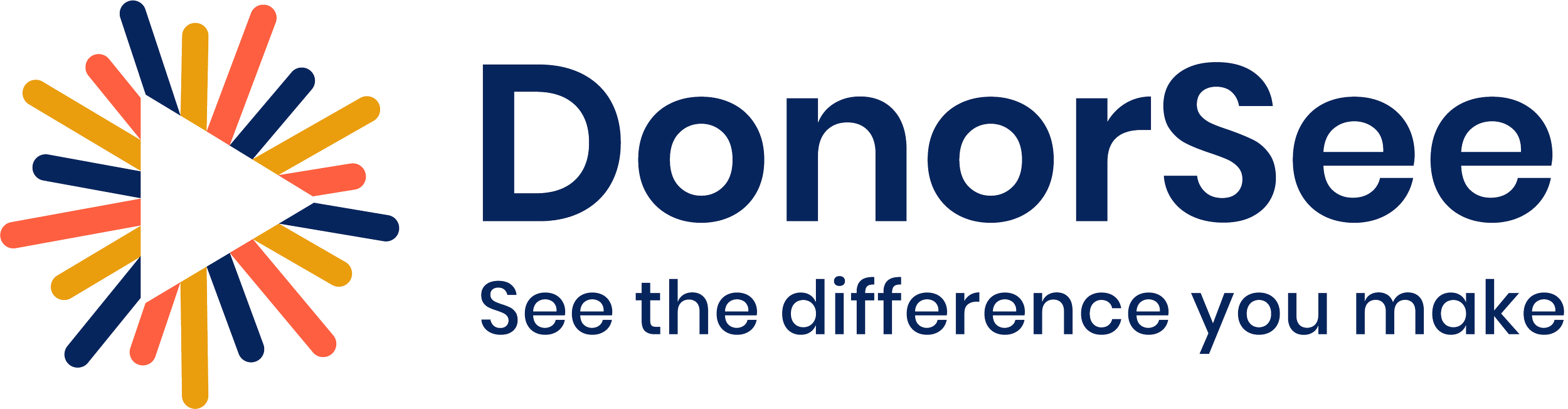 donorsee-logo-horizontal.png
