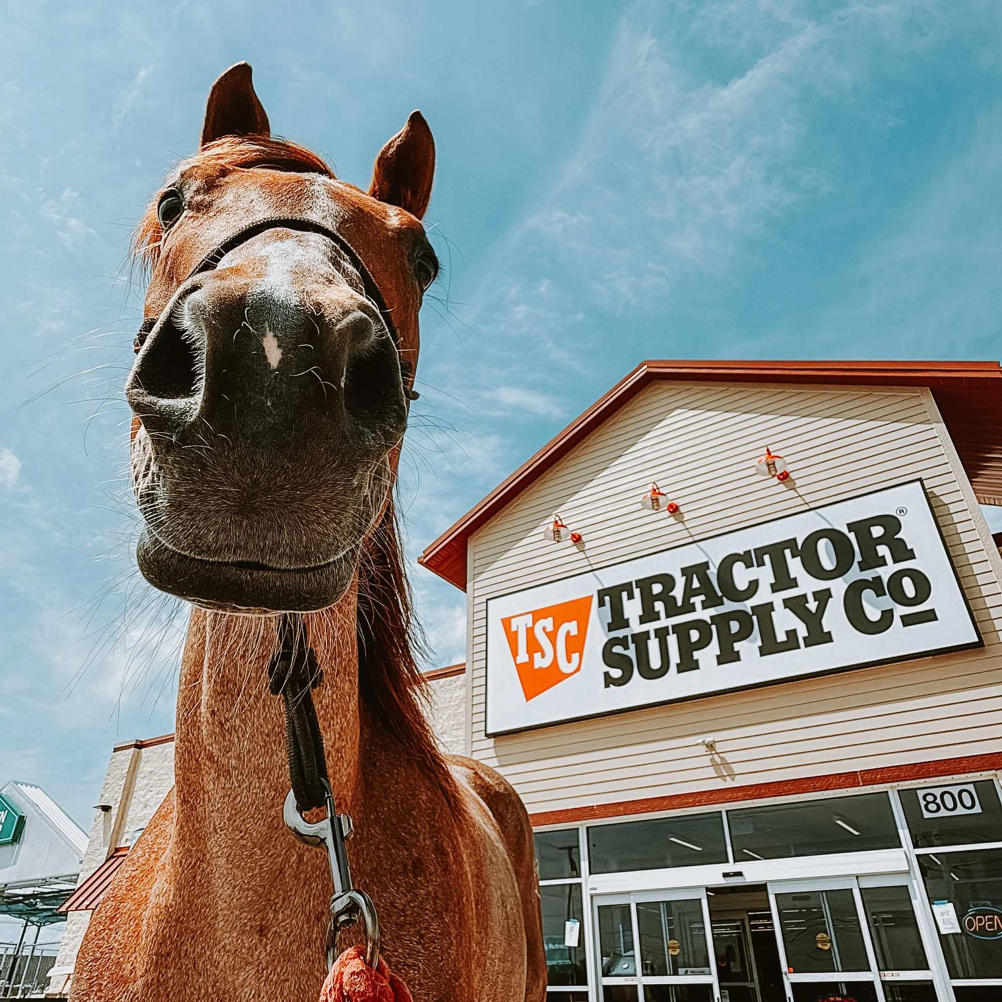 Tractor Website Cover Square-22-9.jpg