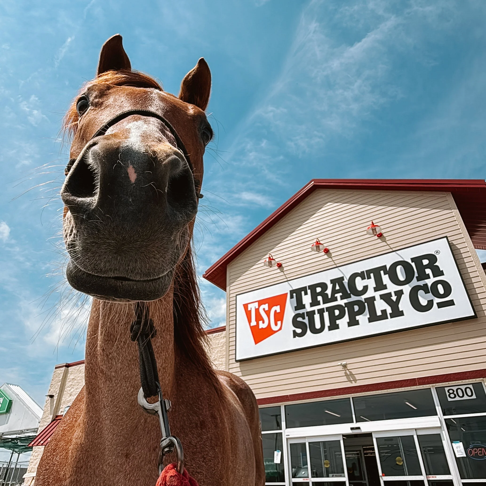 Tractor Website Cover-5524-2.jpg