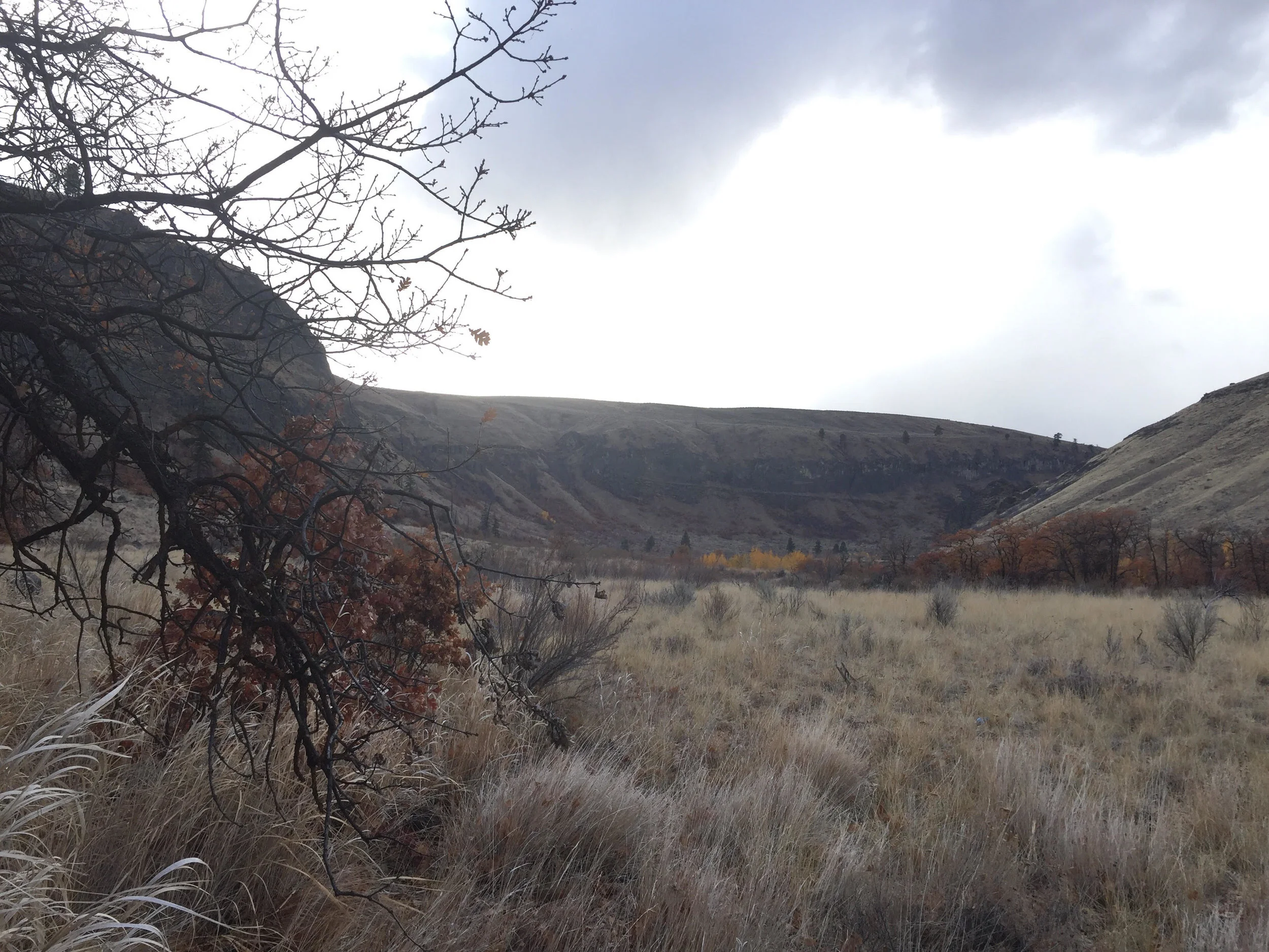 A picture detailing the varied landscape of Washington.