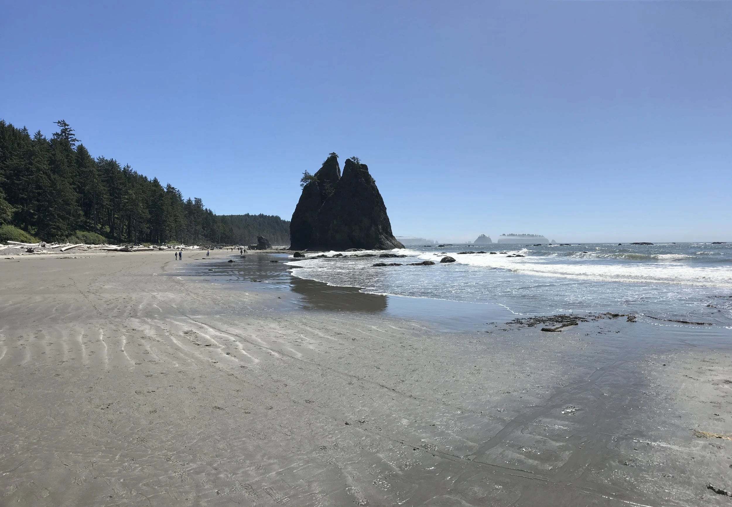 Getting Salty on the Washington Coast - Our Surf Trip on the Olympic Peninsula