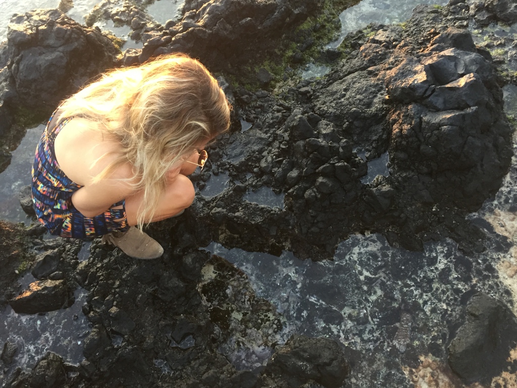 Mystified by the ocean and its power and its tide pools.