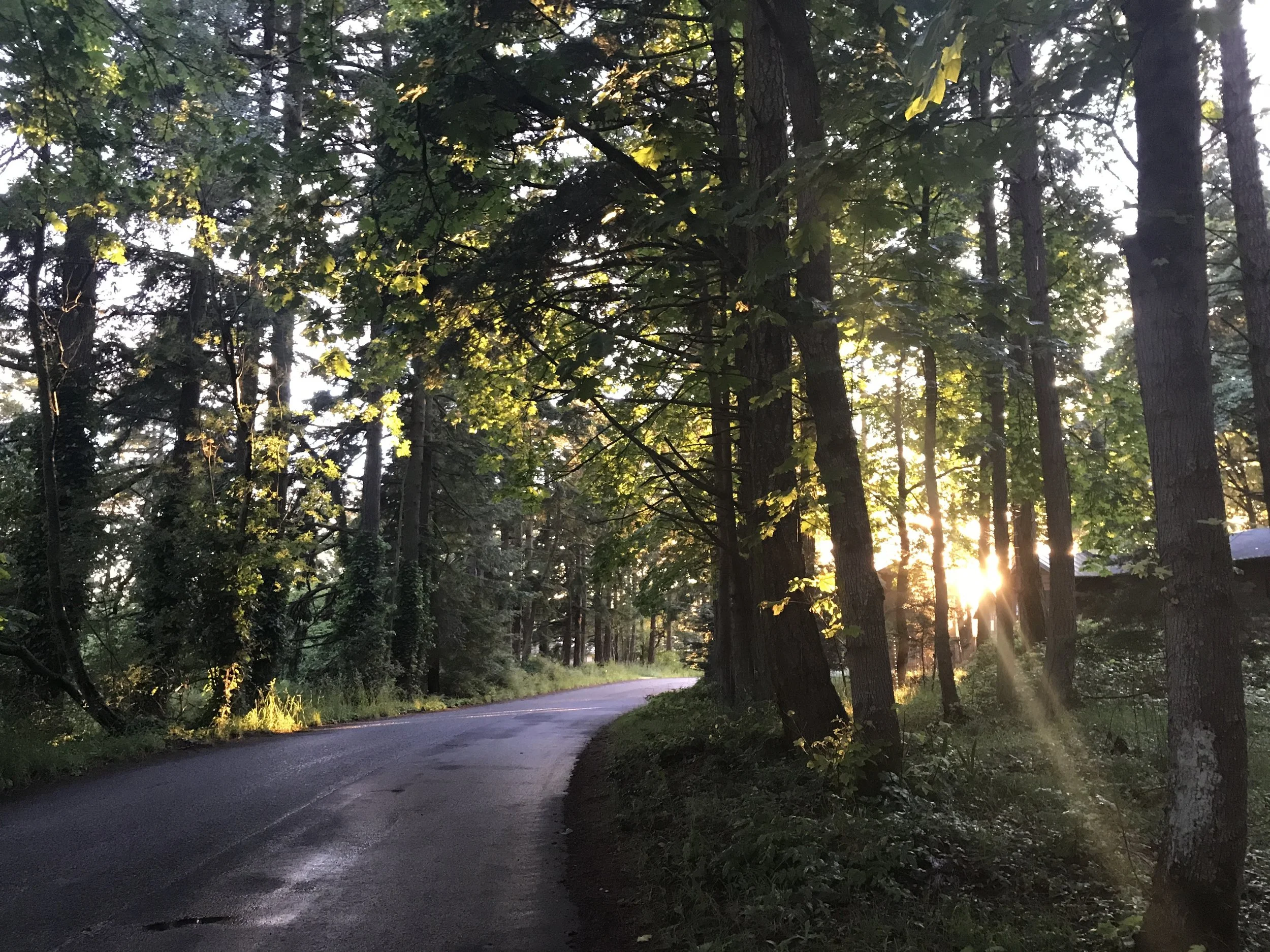 San Juan-dering - Exploring San Juan Island on a Sunny Day Off