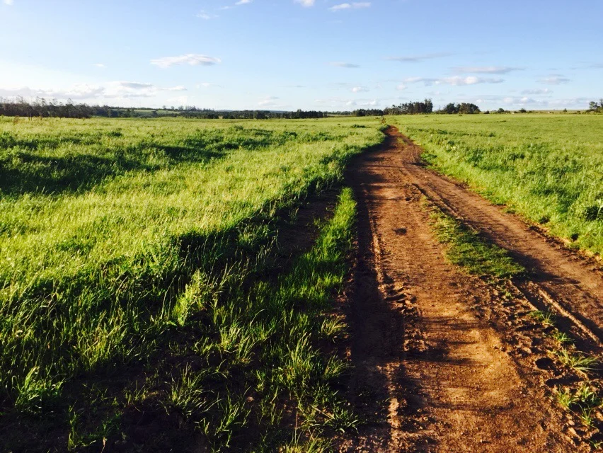 running in South Africa - and why it's the traveller's perfect form of excercise