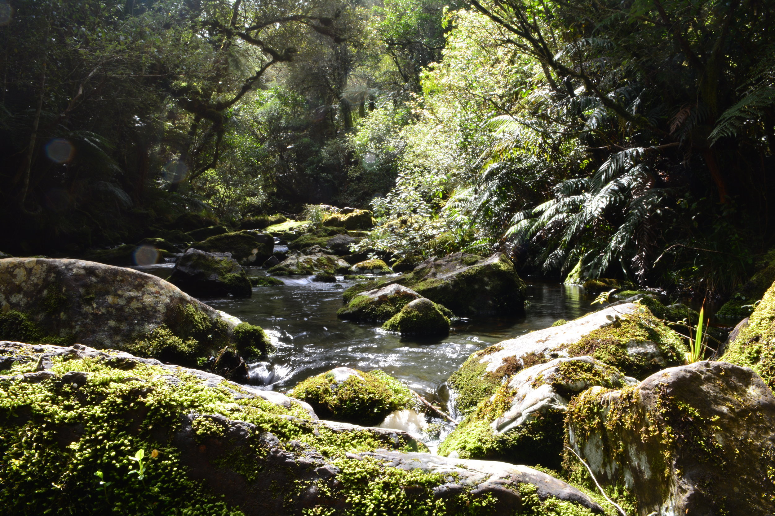 Parakanui Falls Catlins Coast