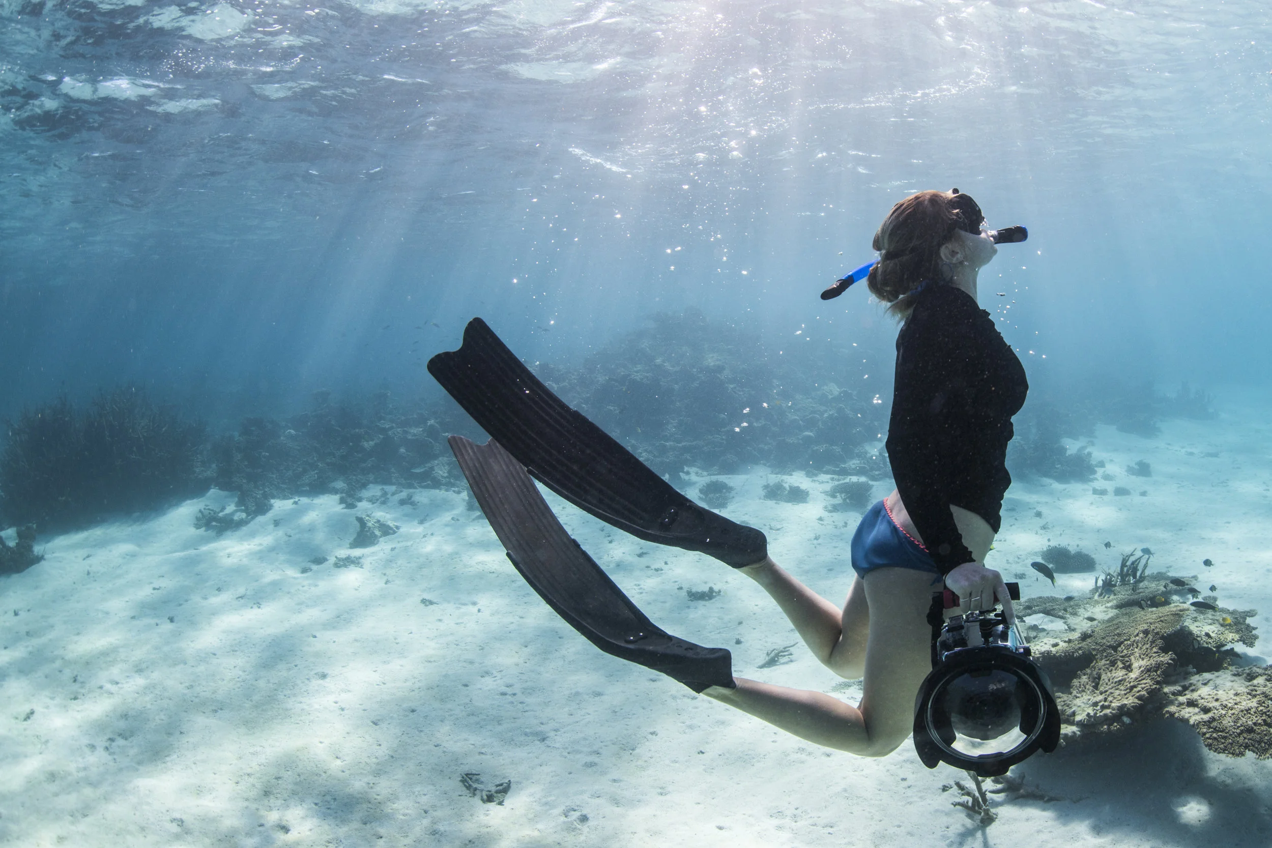 Mermaid Muse of the Month: Fiona Wardle, Wildlife Photographer