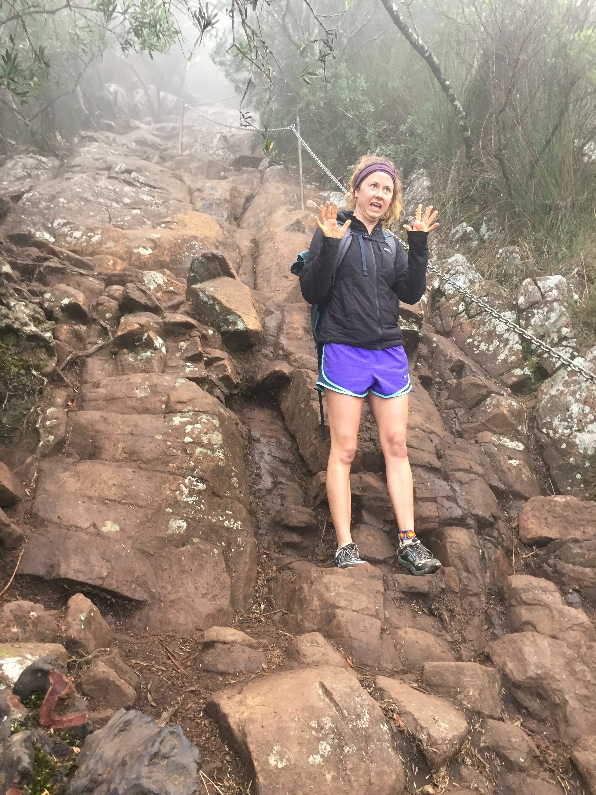 Mount Warning Sunrise Hike