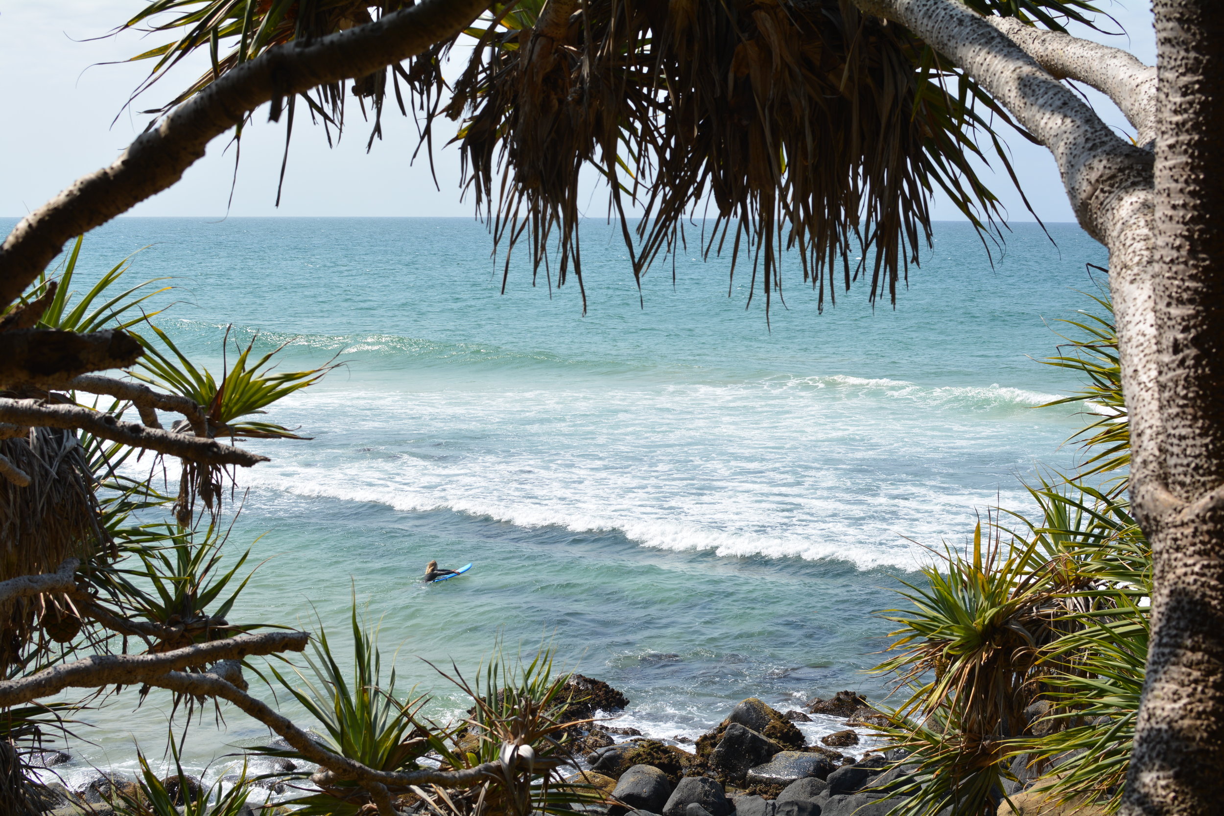 From the Sunny Coast to Brisbane to the Gold Coast - Adventures in Eastern Oz