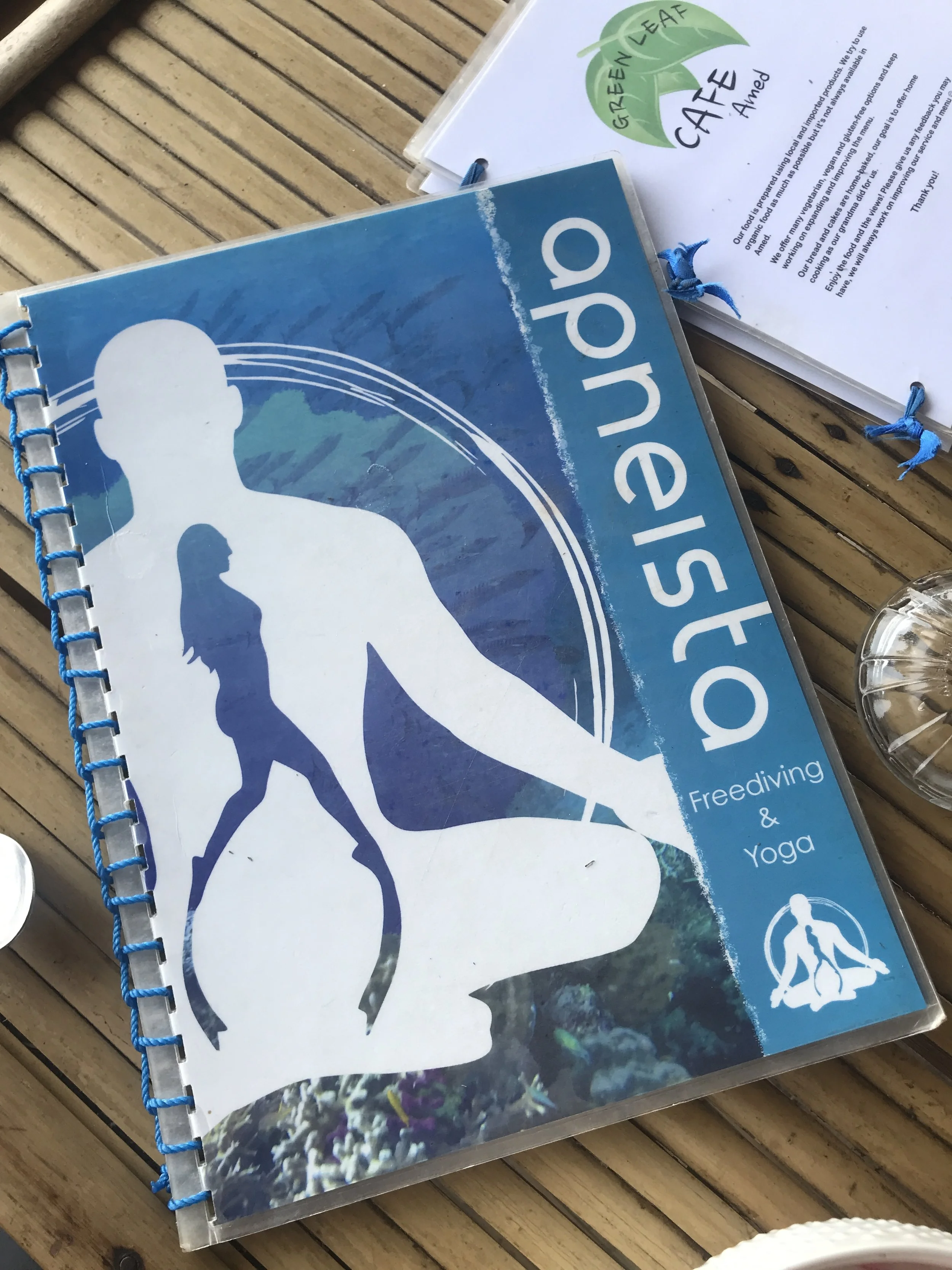 Exploring New Depths with Apneista's Level One Freediving Course - Bali