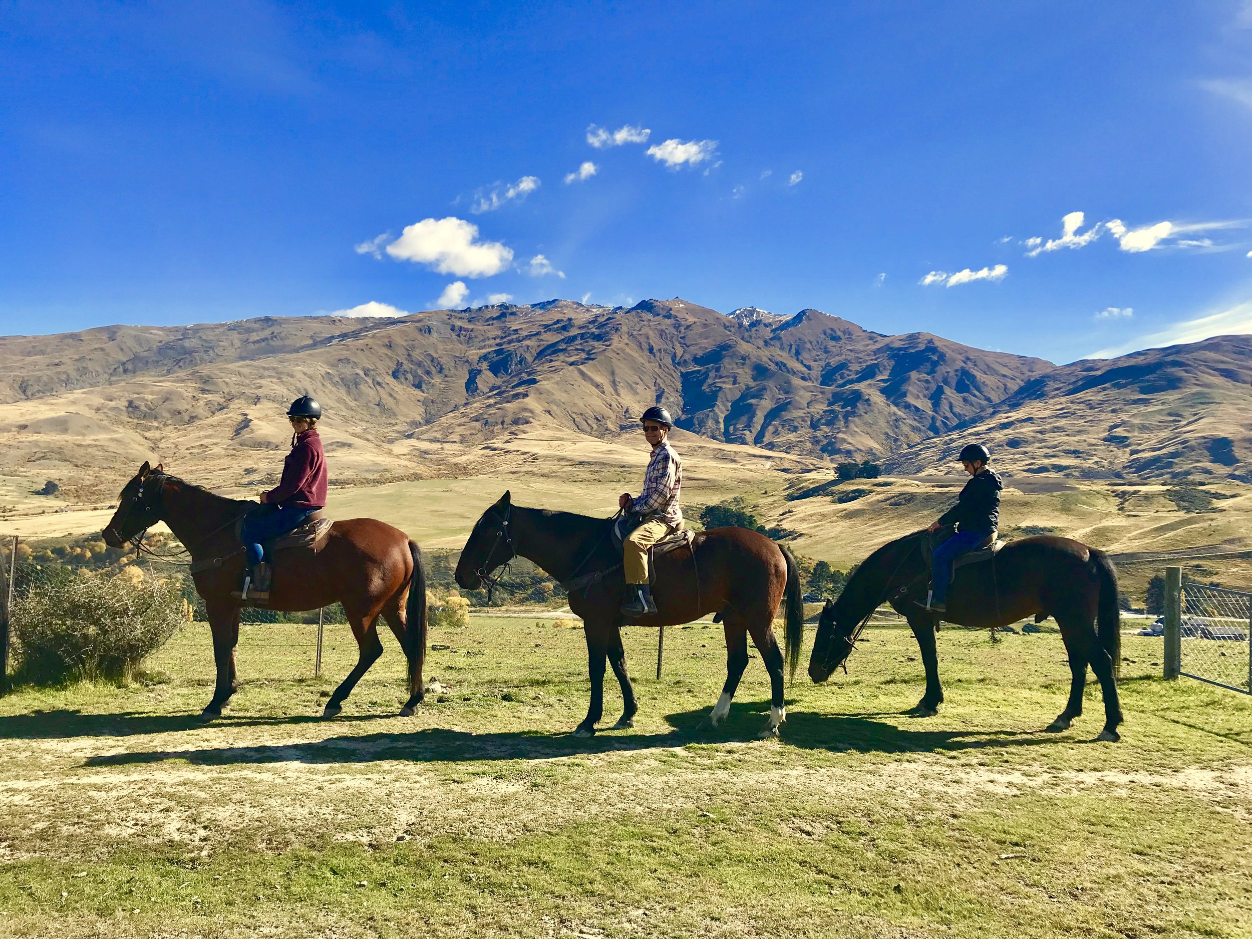 Horseback Riding Cardrona New Zealand