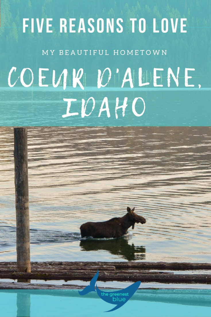 Beautiful Coeur d'Alene, Idaho is my hometown - I am so lucky! Here are five reasons (there's plenty more, thought) that I love this town by the lake in Northern Idaho.