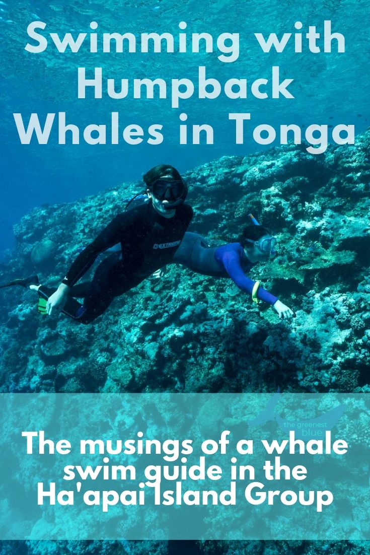 If You See a Flipper, Tell the Skipper - Week 3 in Tonga — The Greenest Blue