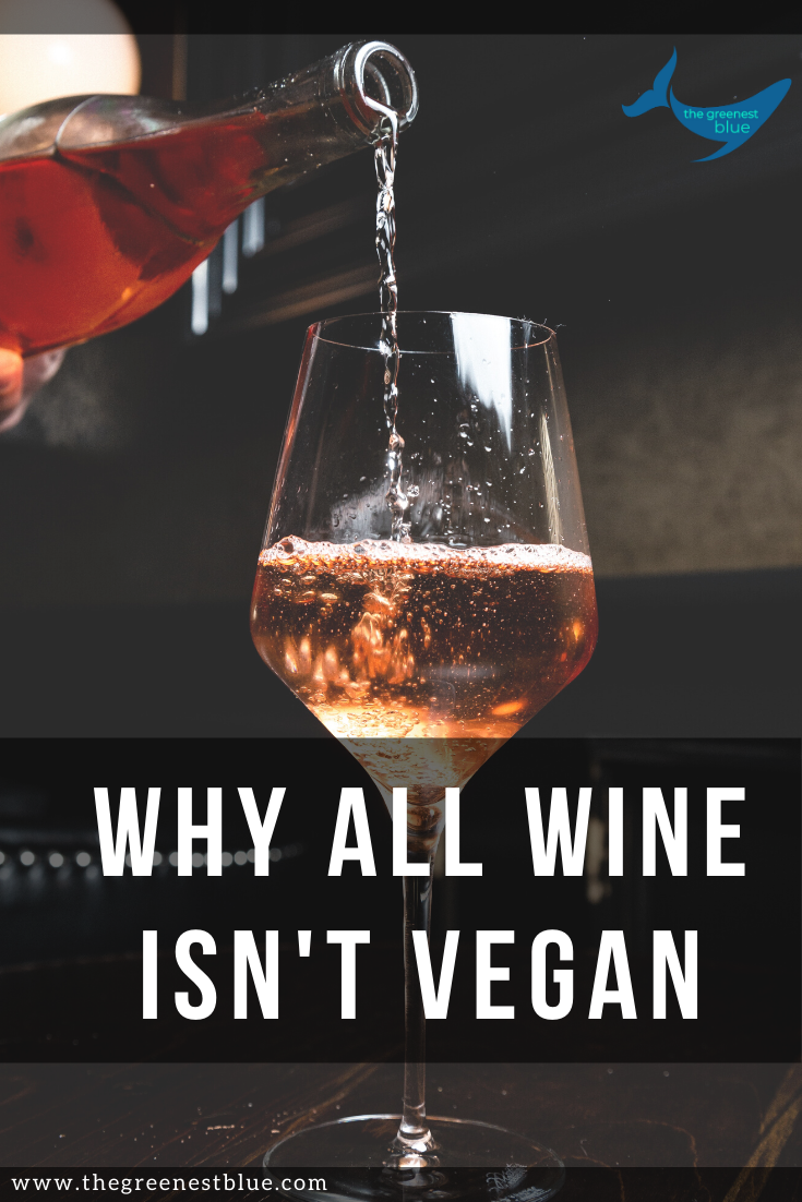 WHAT? ALL WINES AREN'T VEGAN? The Truth Behind Animal Products in Wine Production — The Greenest
