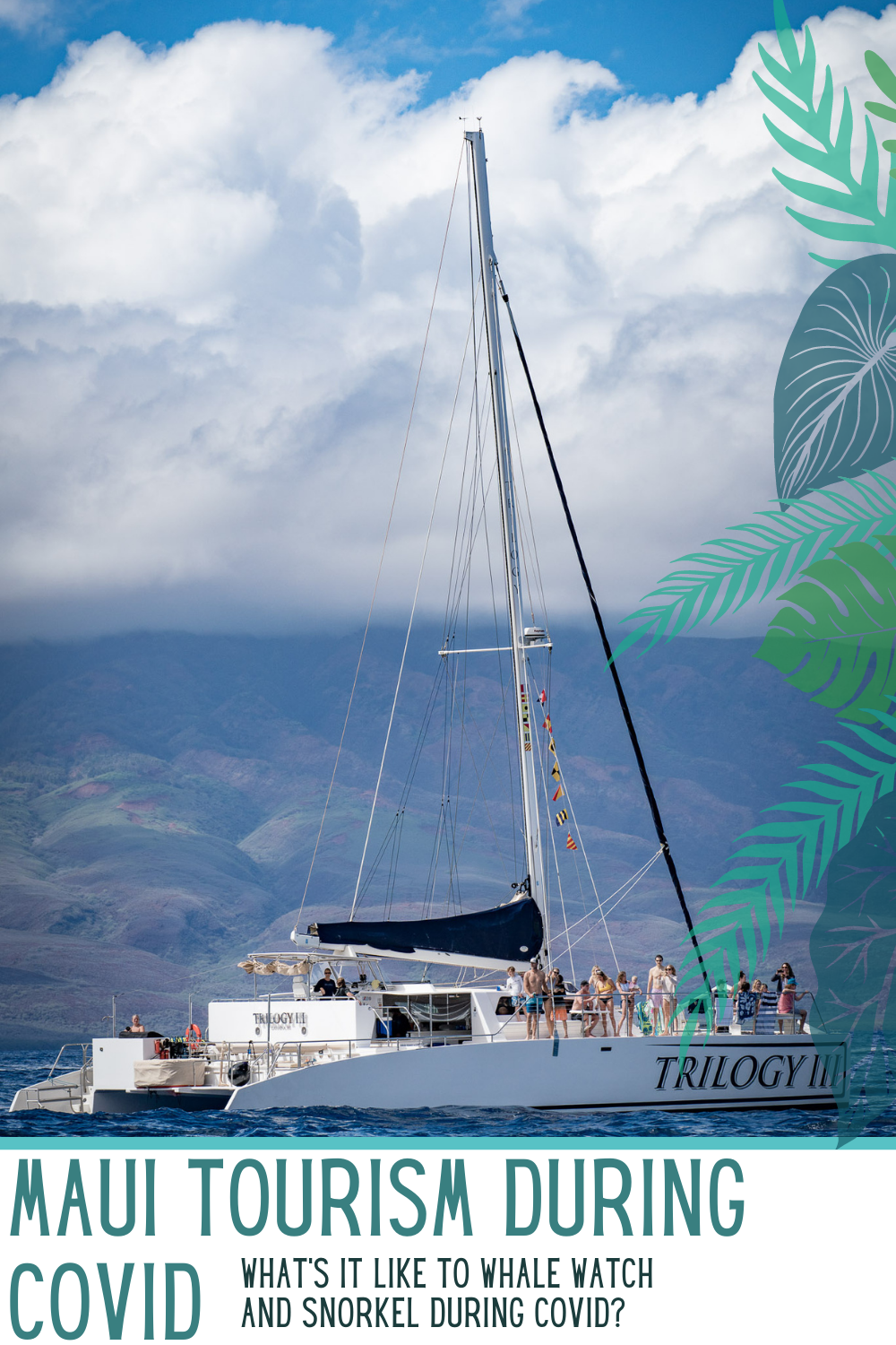 Marine Tourism During COVID - Maui, Hawaii