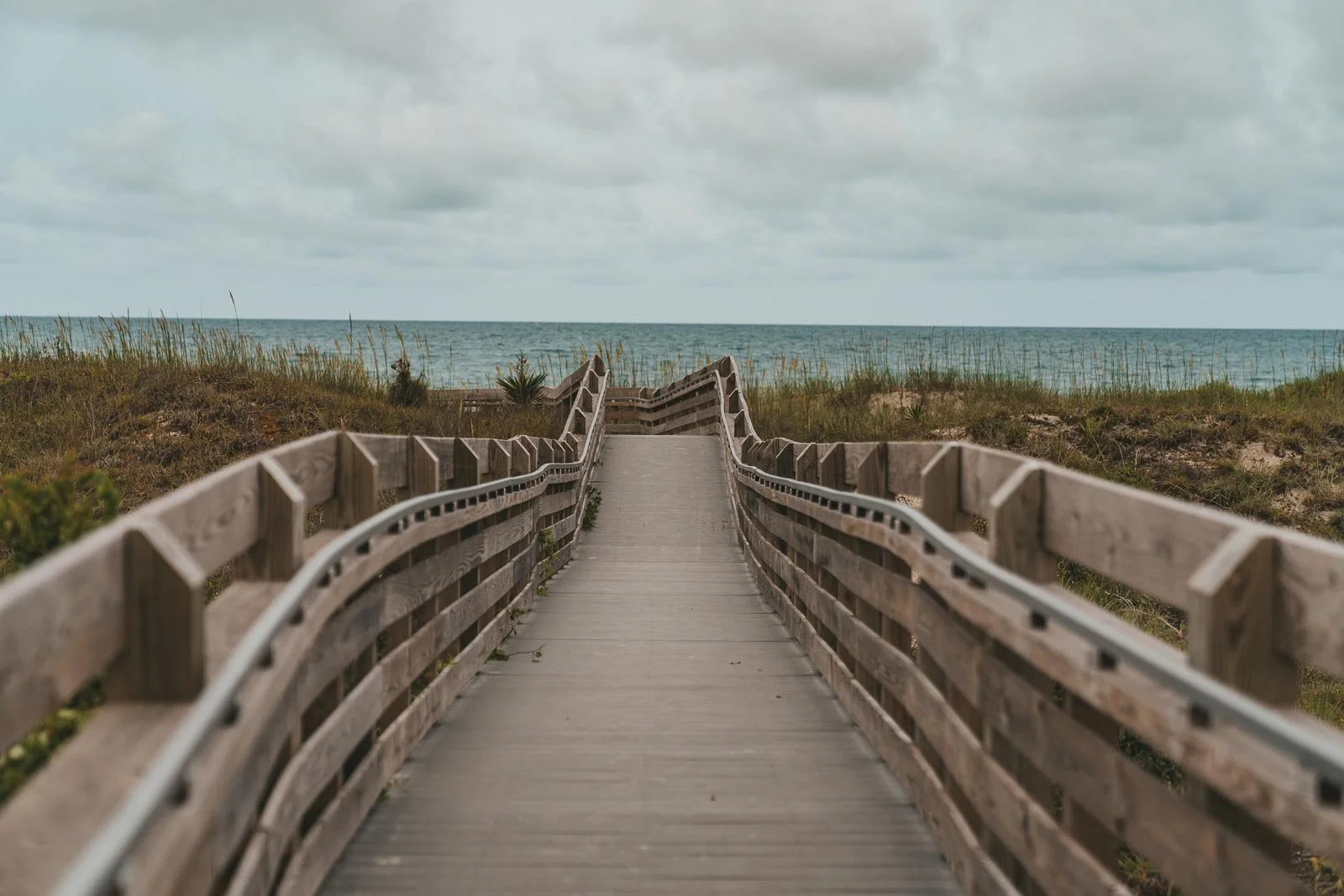 The Evolution of The Greenest Blue