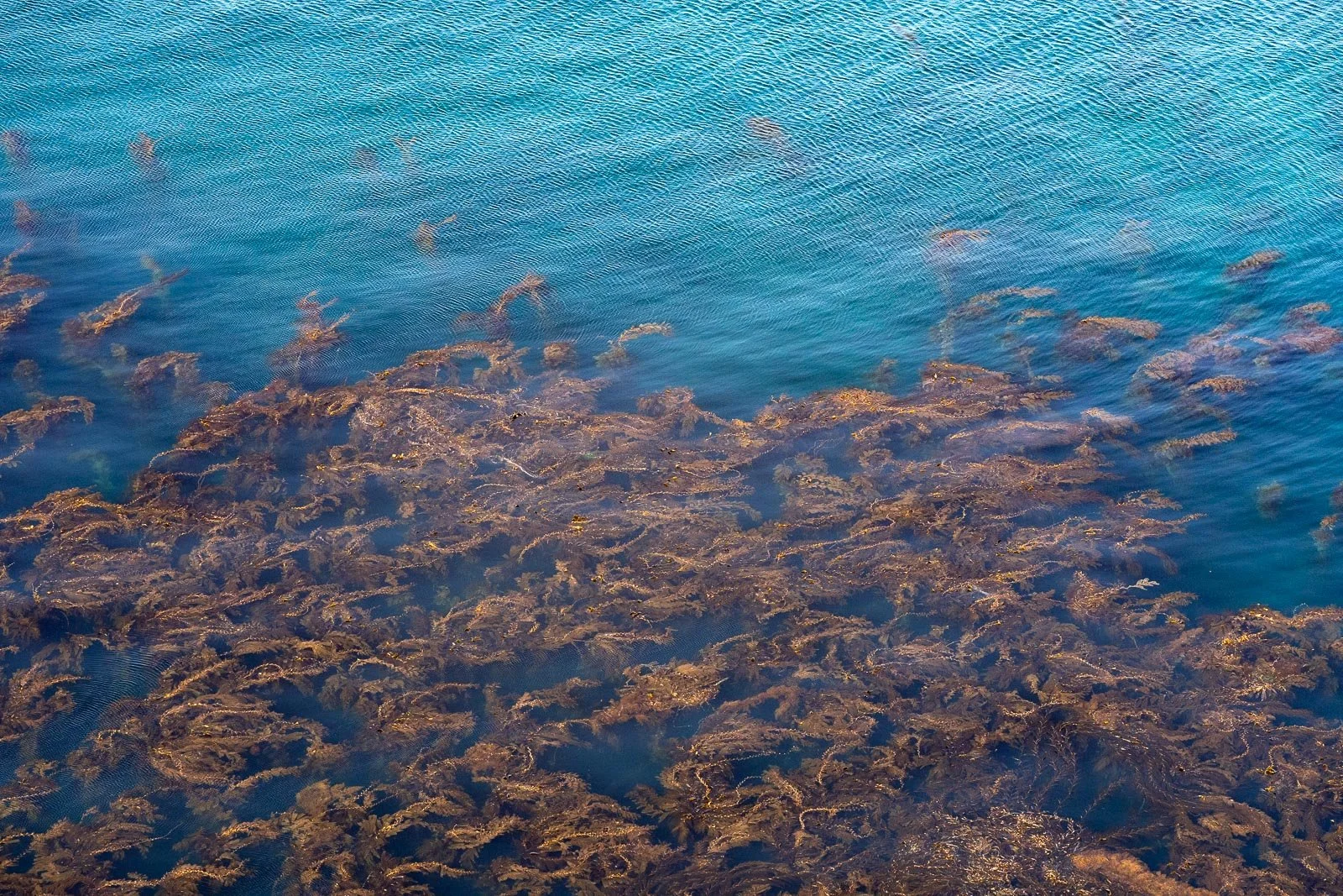 untitled-07671.jpg