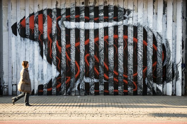 Roa