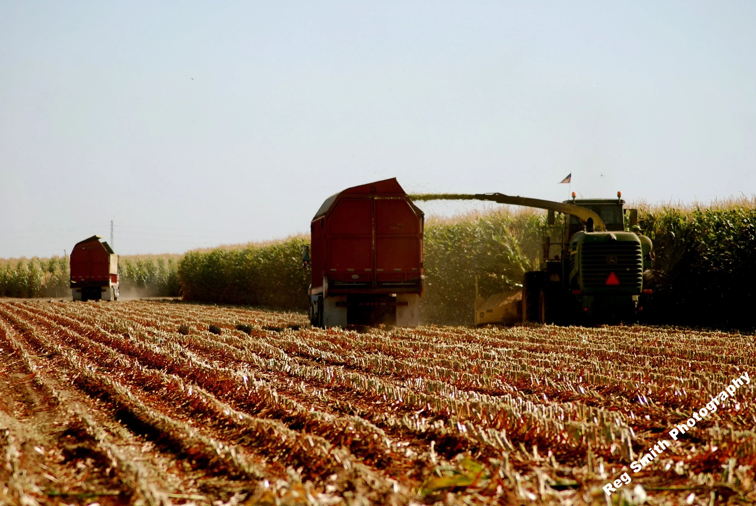    Corn Harvesting    AG-13      Purchase    