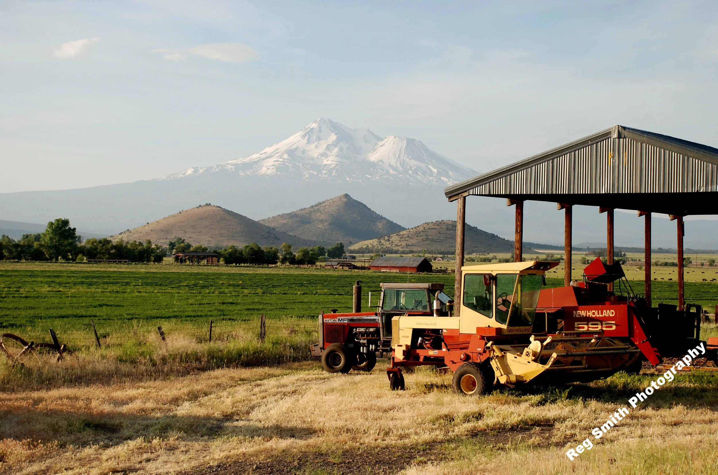    Alfalfa Field under Mt Shasta    AG-08      Purchase    