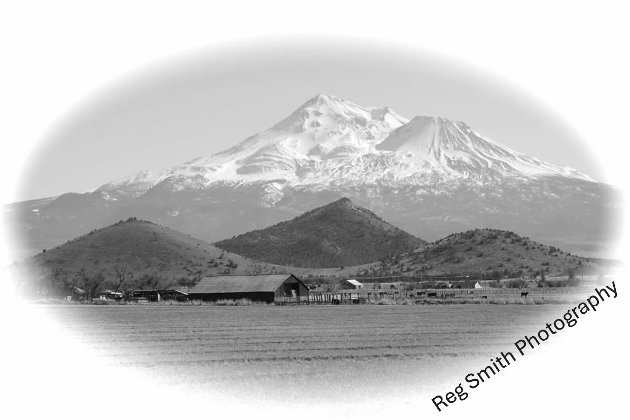   Mt. Shasta  GO-09    Purchase    