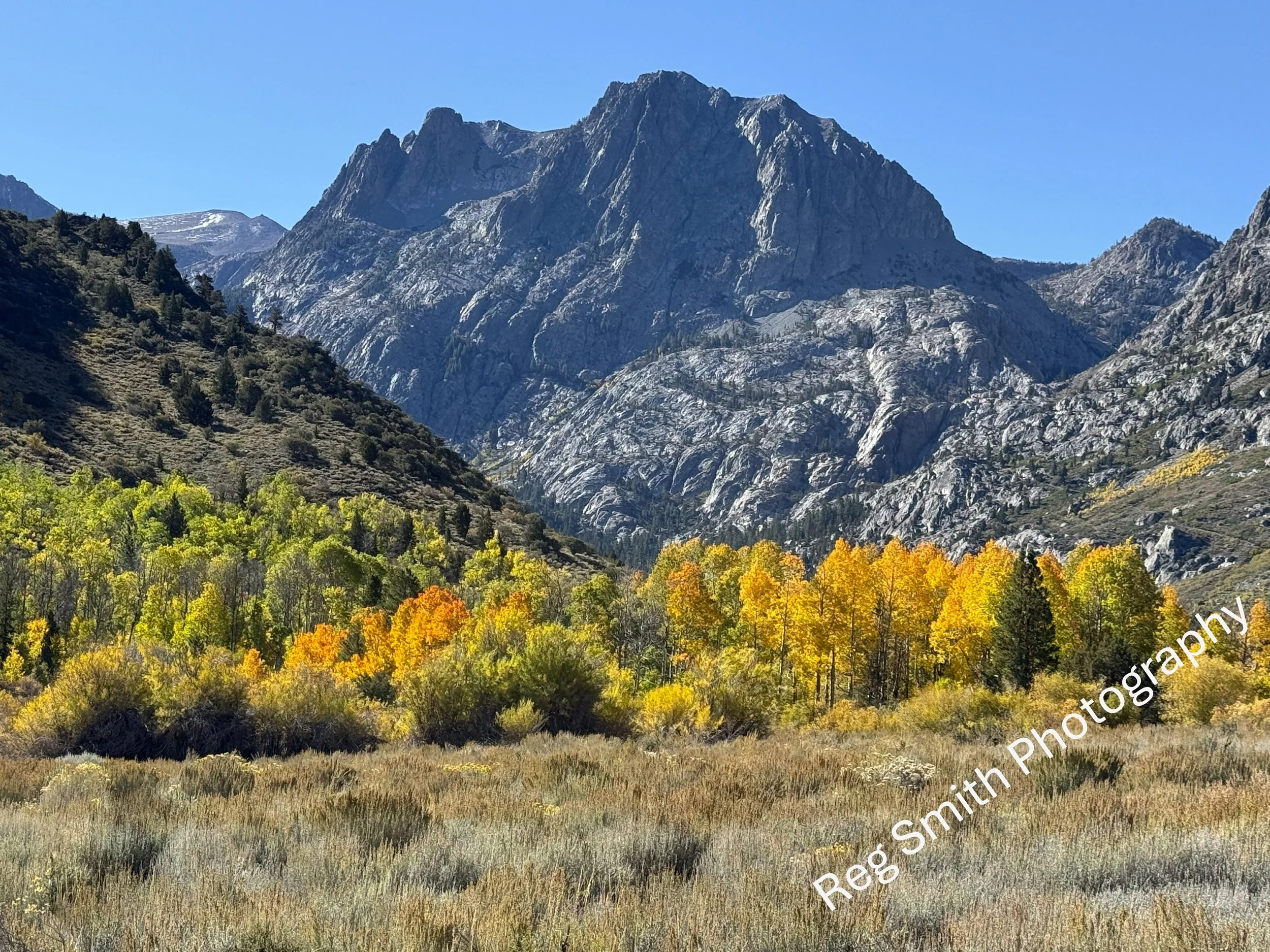   Carson Peak Fall Color  GO-11    Purchase    
