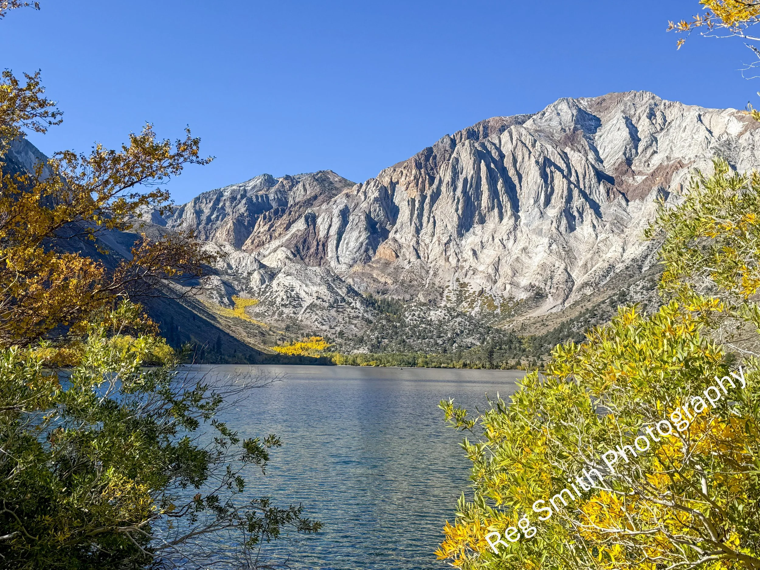   Convict Lake Fall Color  GO-23    Purchase    