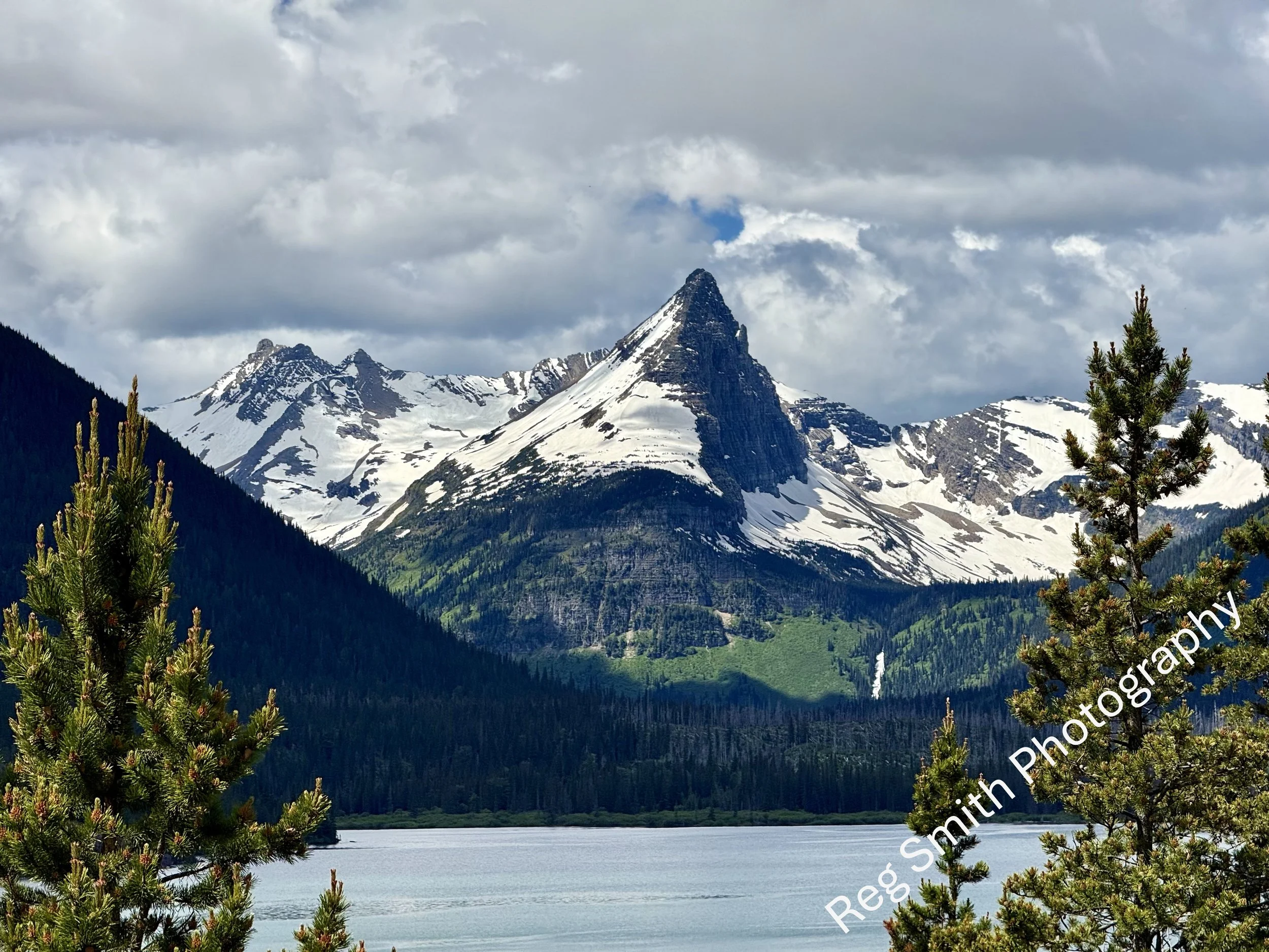   Sinopah Mt. - Glacier National Park  GO-25    Purchase    