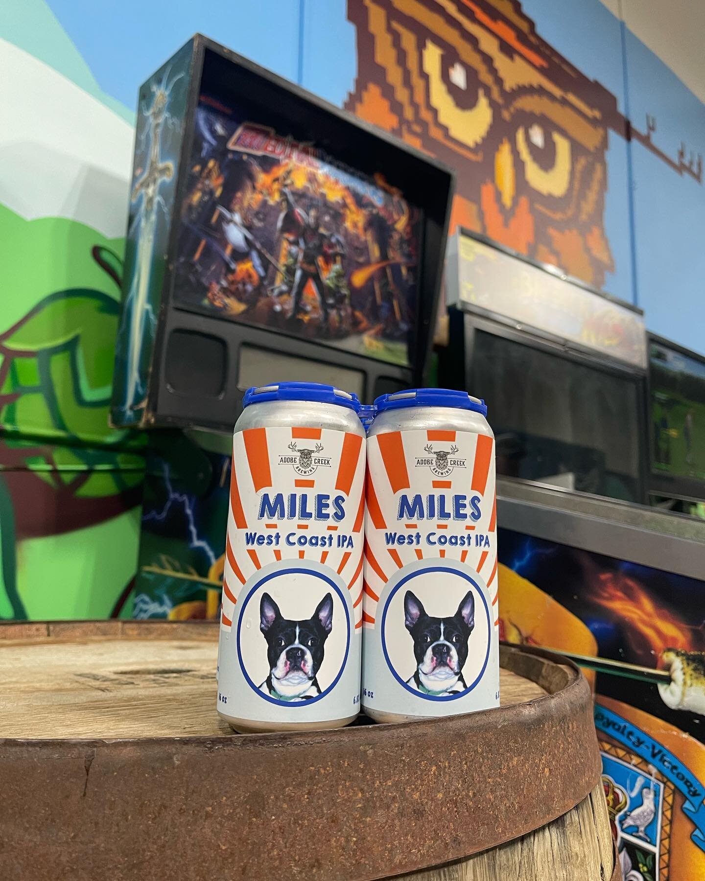 Miles IPA is back in cans and on tap in Novato and Petaluma!  Dry hopped with Nelson Sauvin, Strata, and Mosaic hops!
🍻🦉🦌🦉🍻
#sonoma #marin #craftbeer