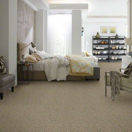 shaw carpet 2.jpg