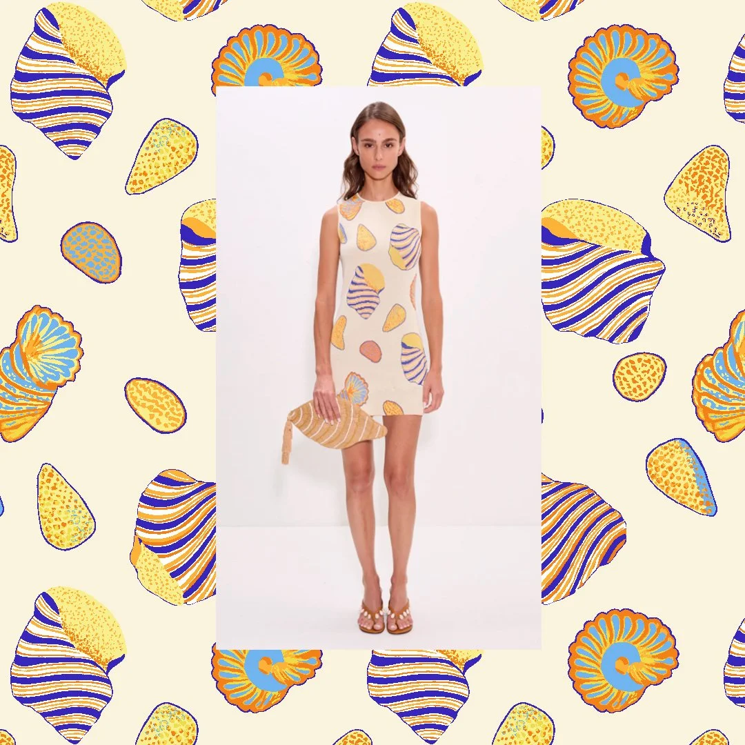 SIMON MILLER_BRIGHT SHELLS.jpg