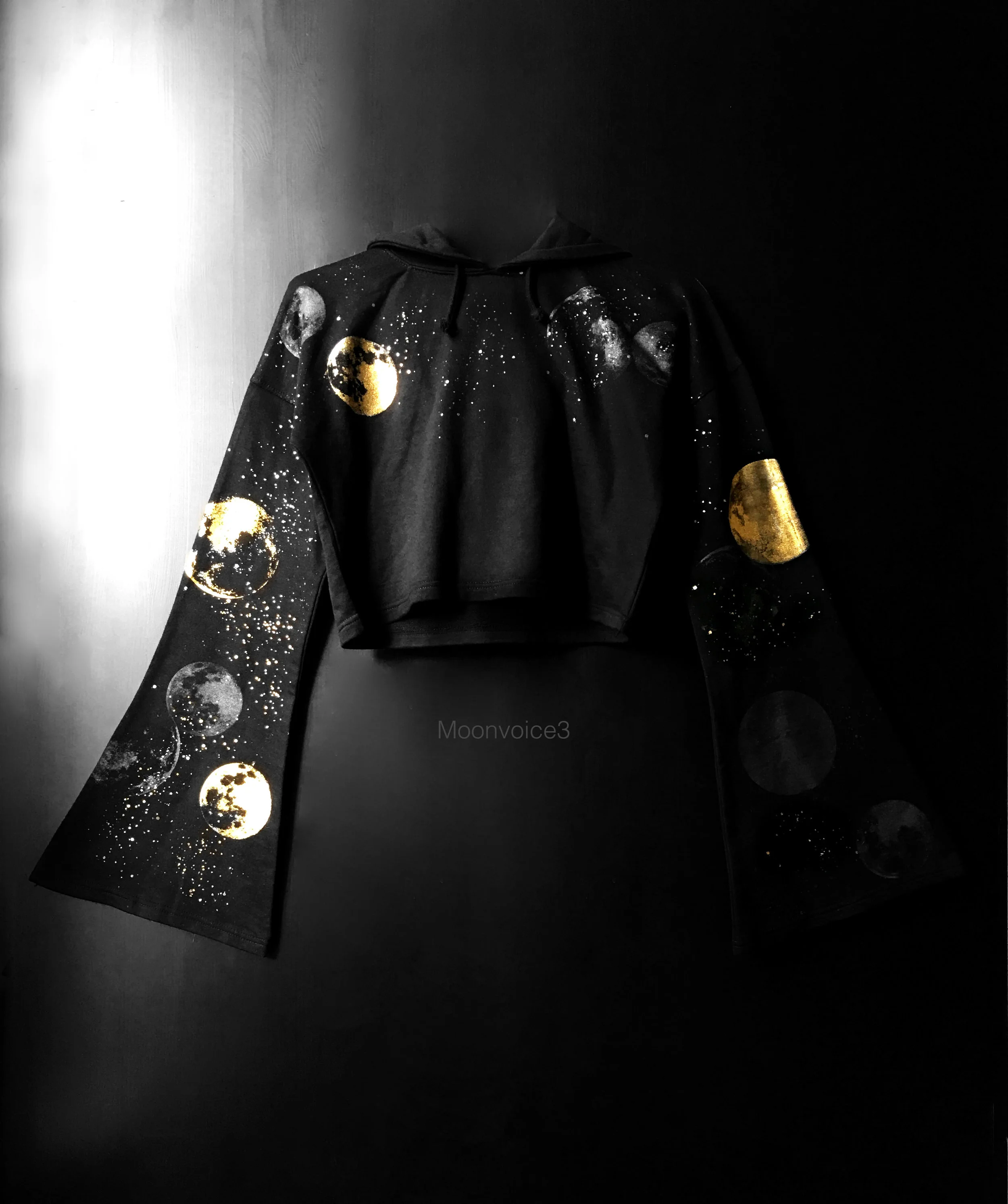 The Moonvoice3-front.jpg