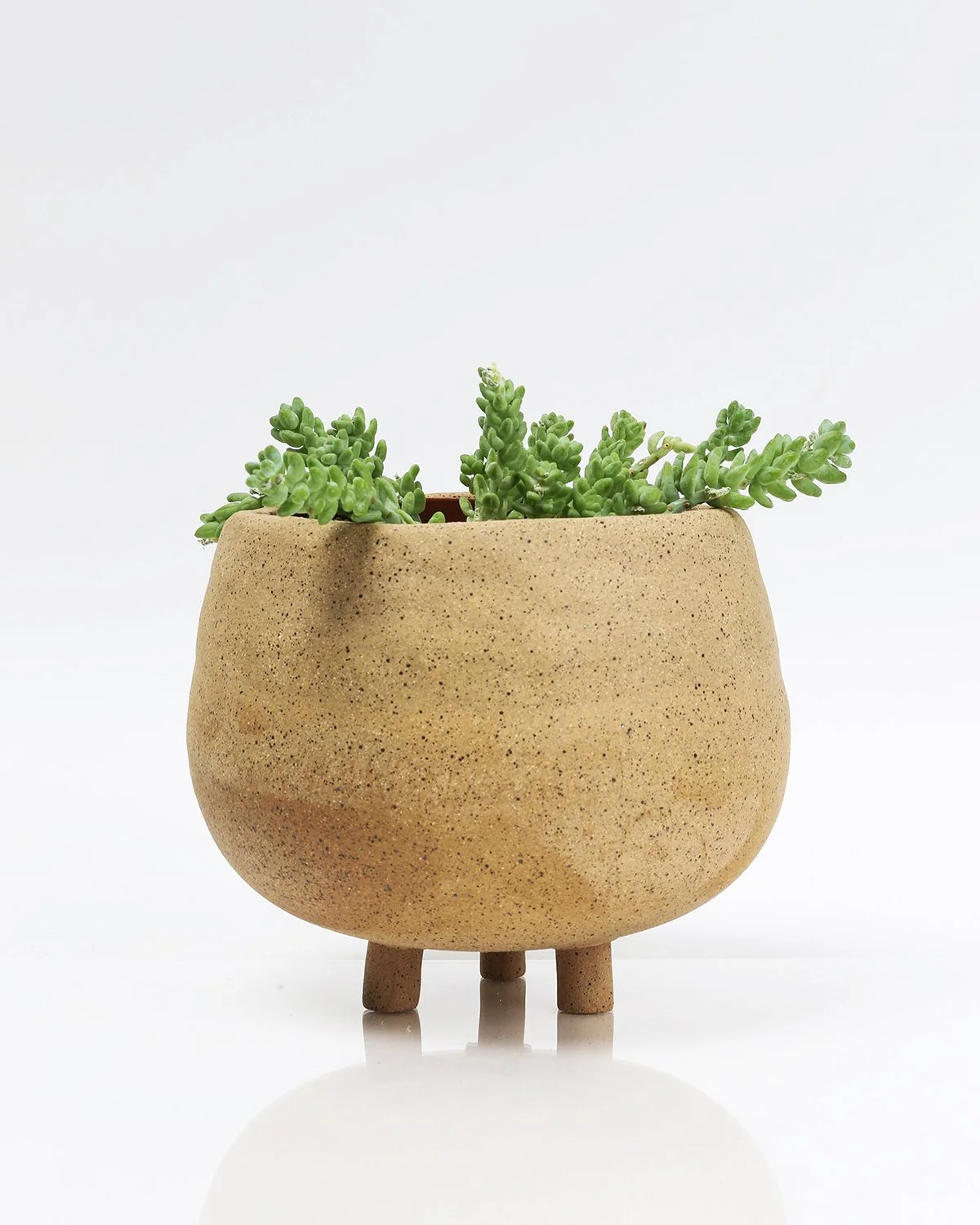 planter-1.jpg