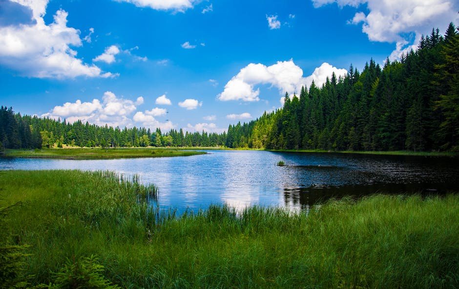 lake.jpeg